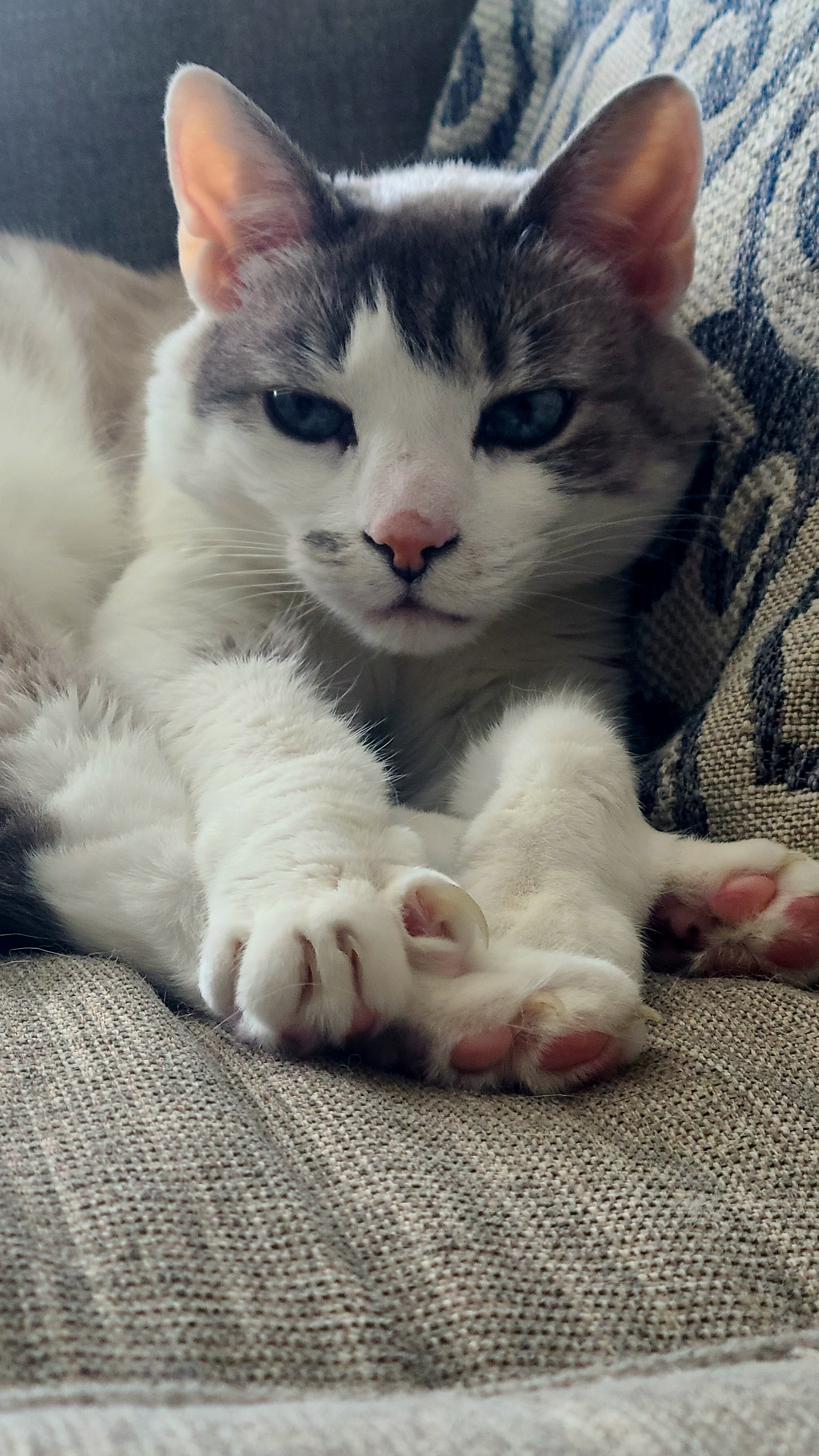 user avatar image for Andolie