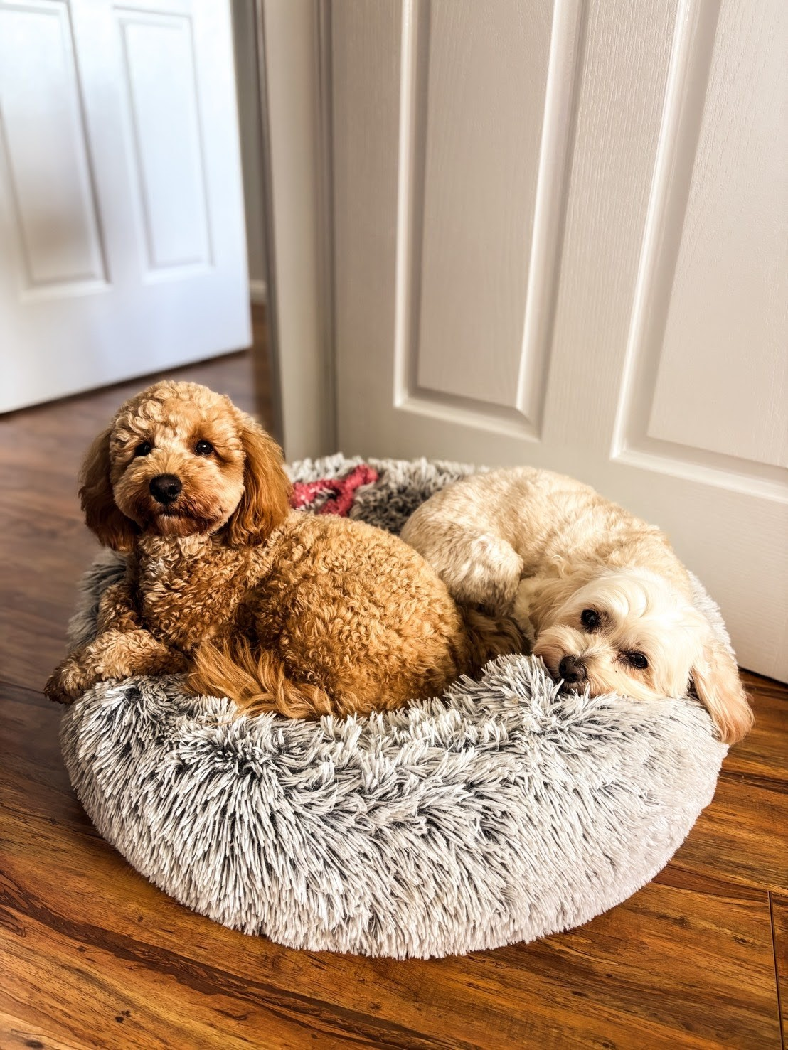 user avatar image for Quinn