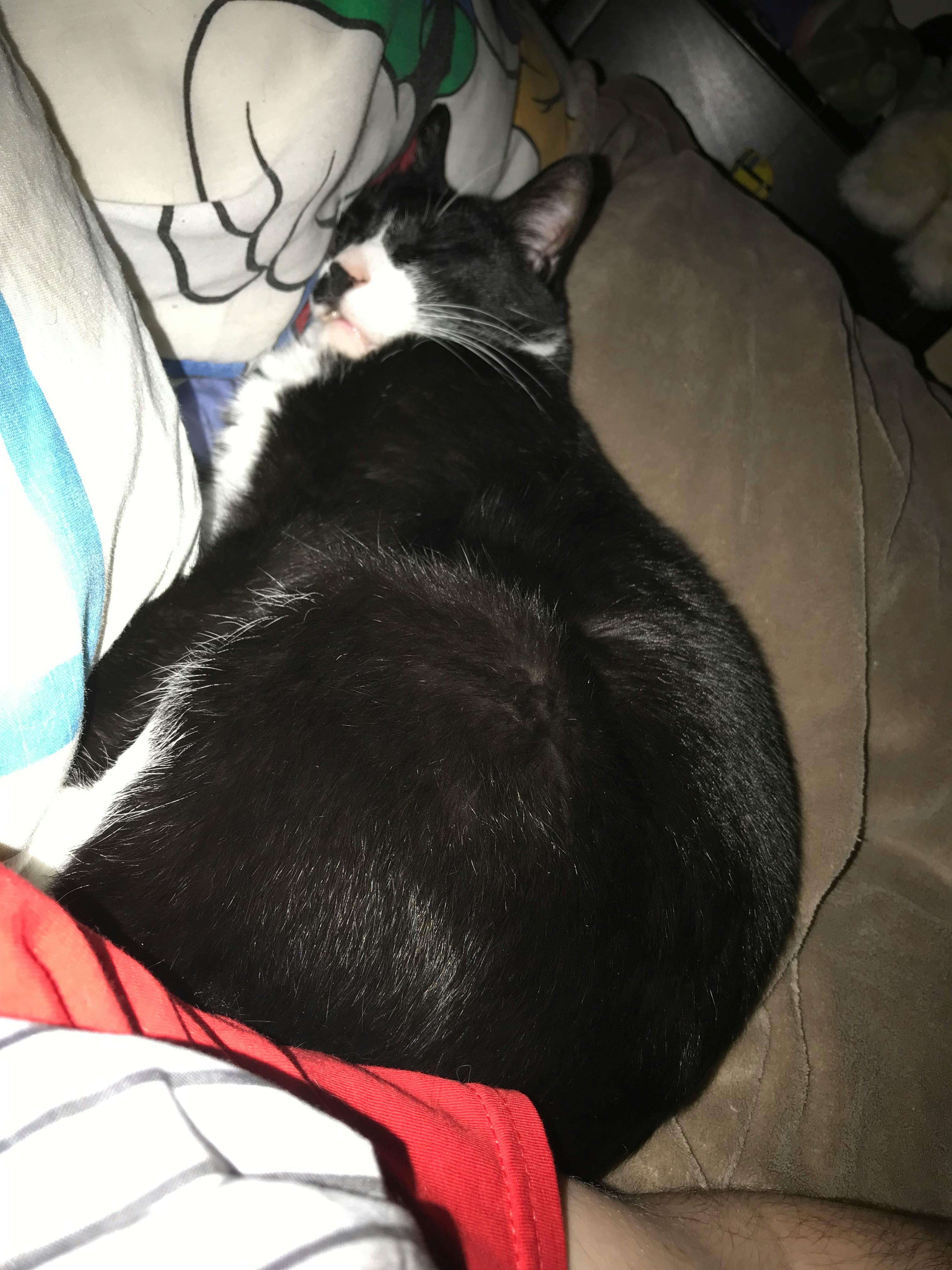 user avatar image for J. Nicolosi