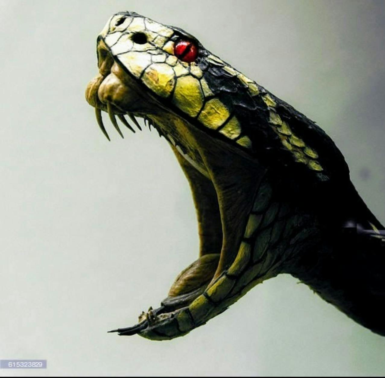 user avatar image for Matt