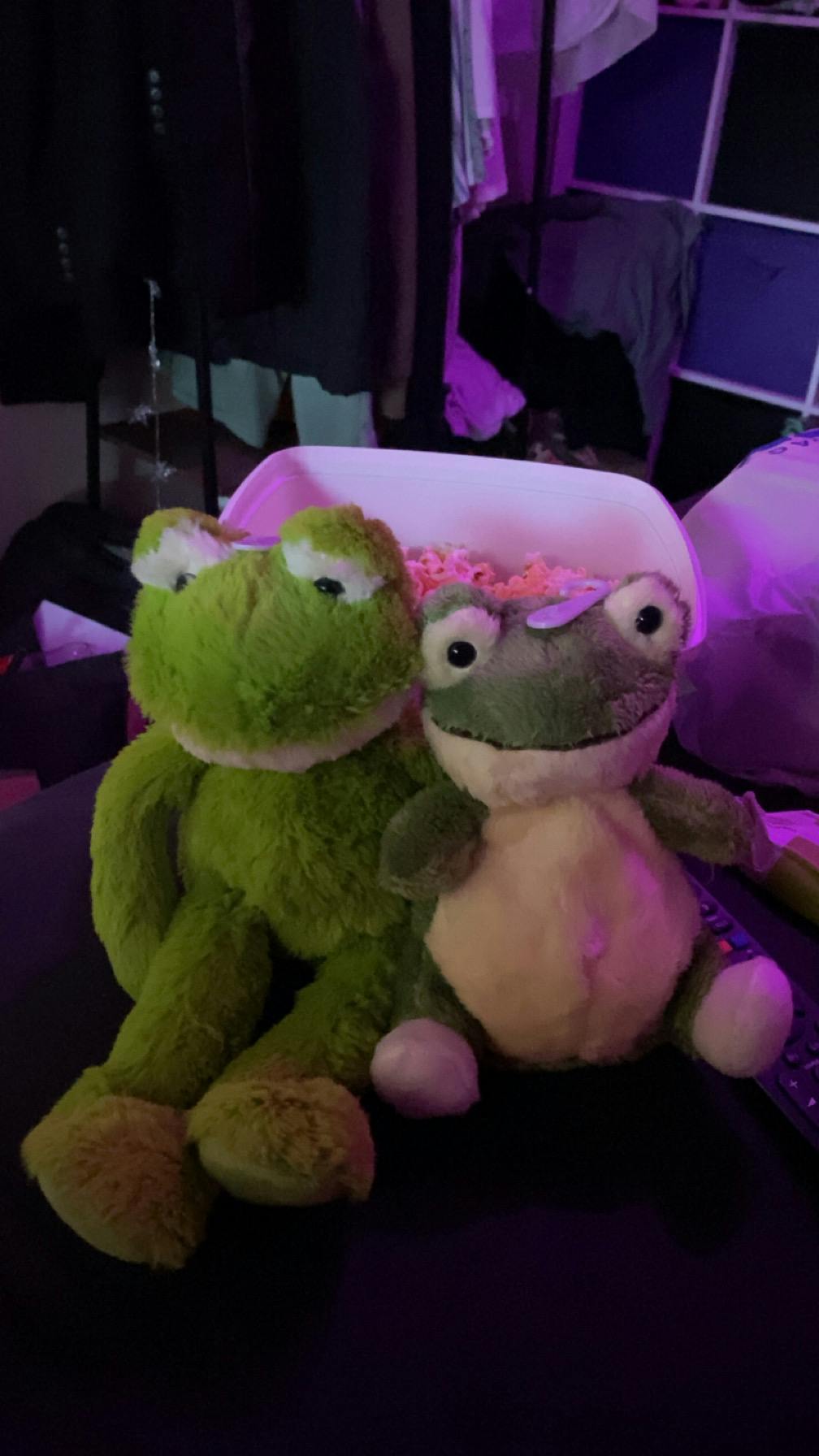 user avatar image for froggy_sir