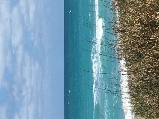 user avatar image for Merdragon