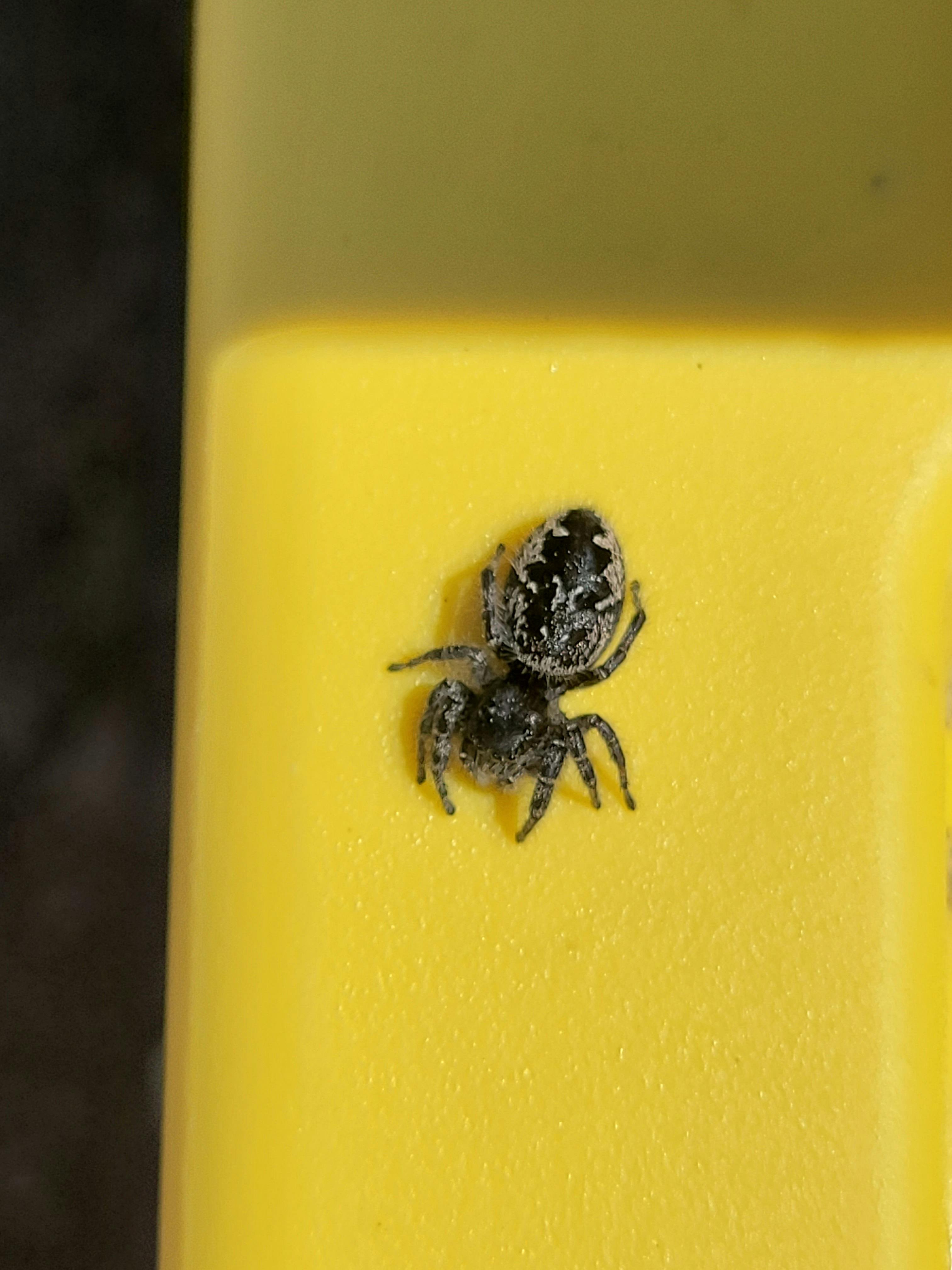 user avatar image for Quaxo