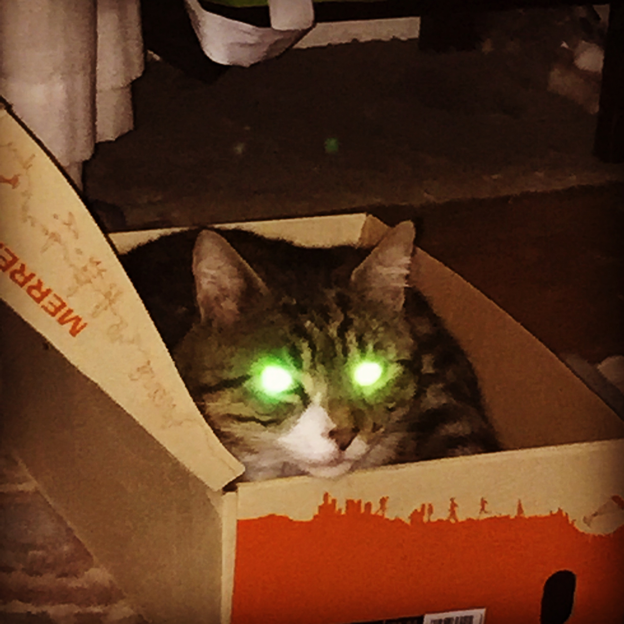 user avatar image for Darren  Grange