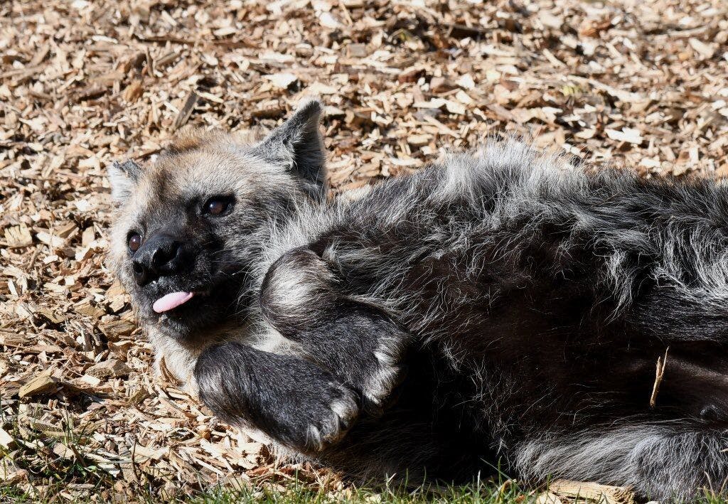 user avatar image for Reuben Randle