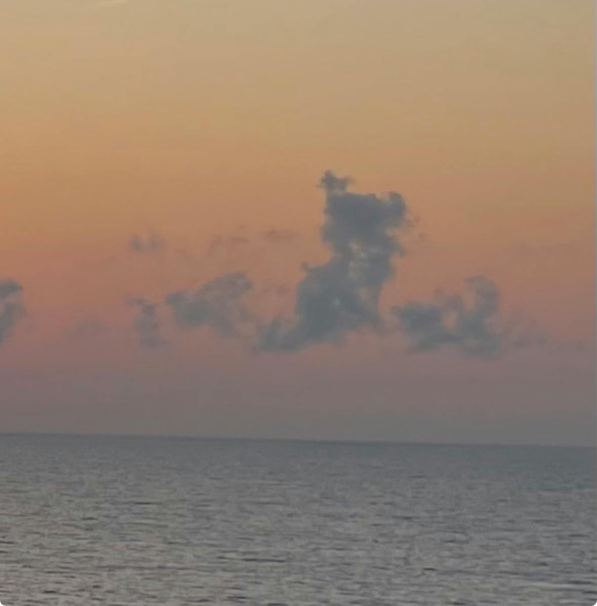 user avatar image for Grace