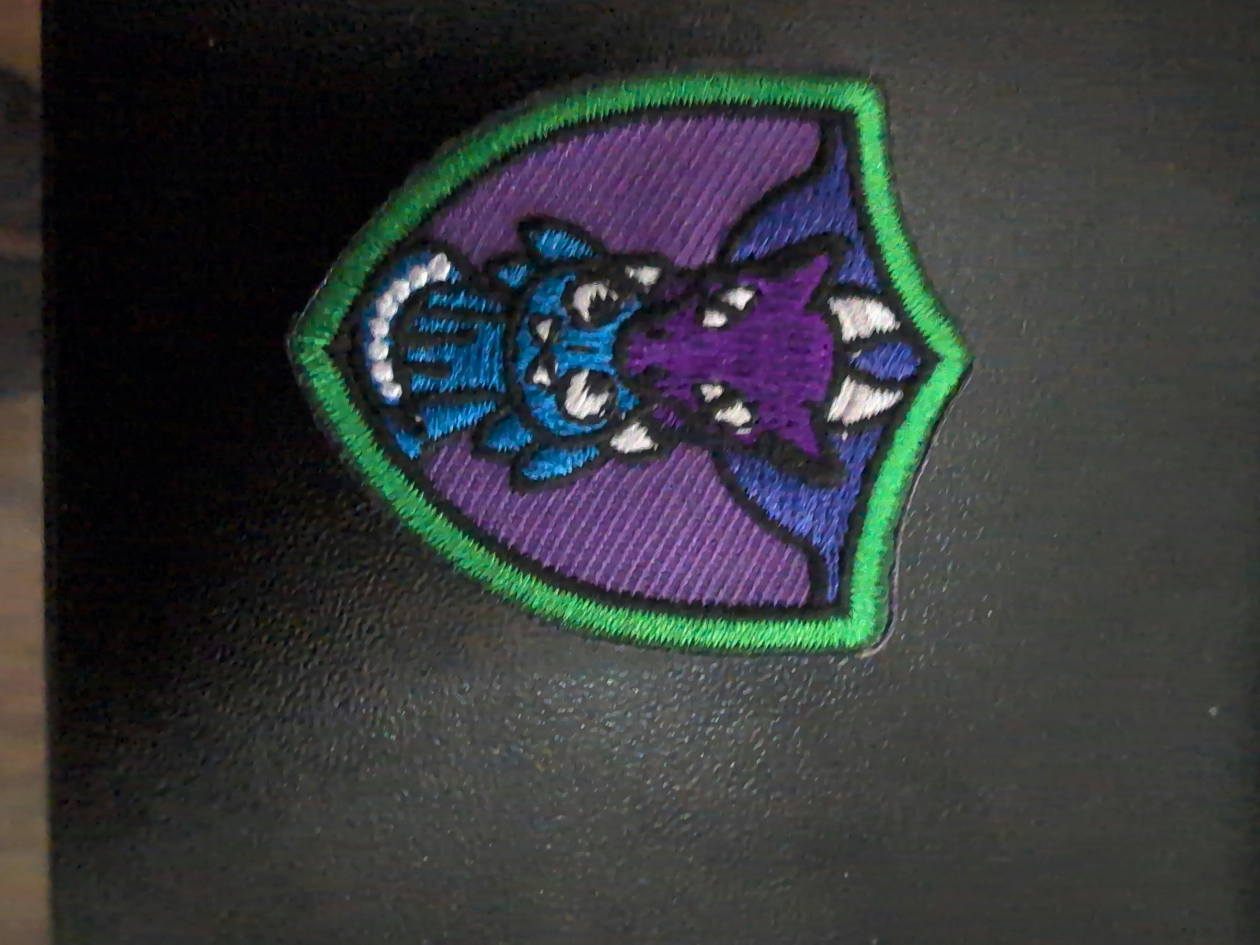 user avatar image for Girl scout dragon