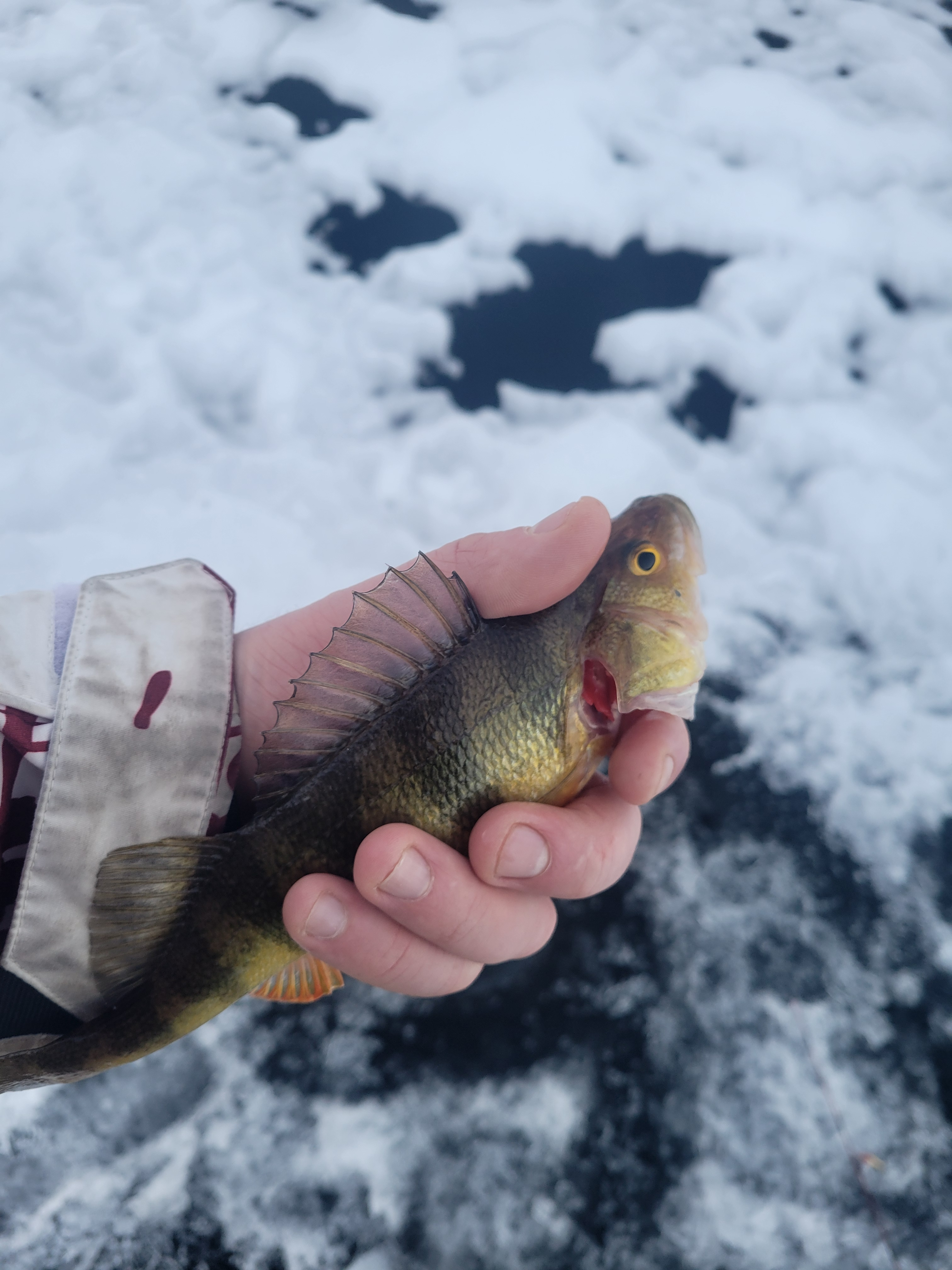 user avatar image for Billy