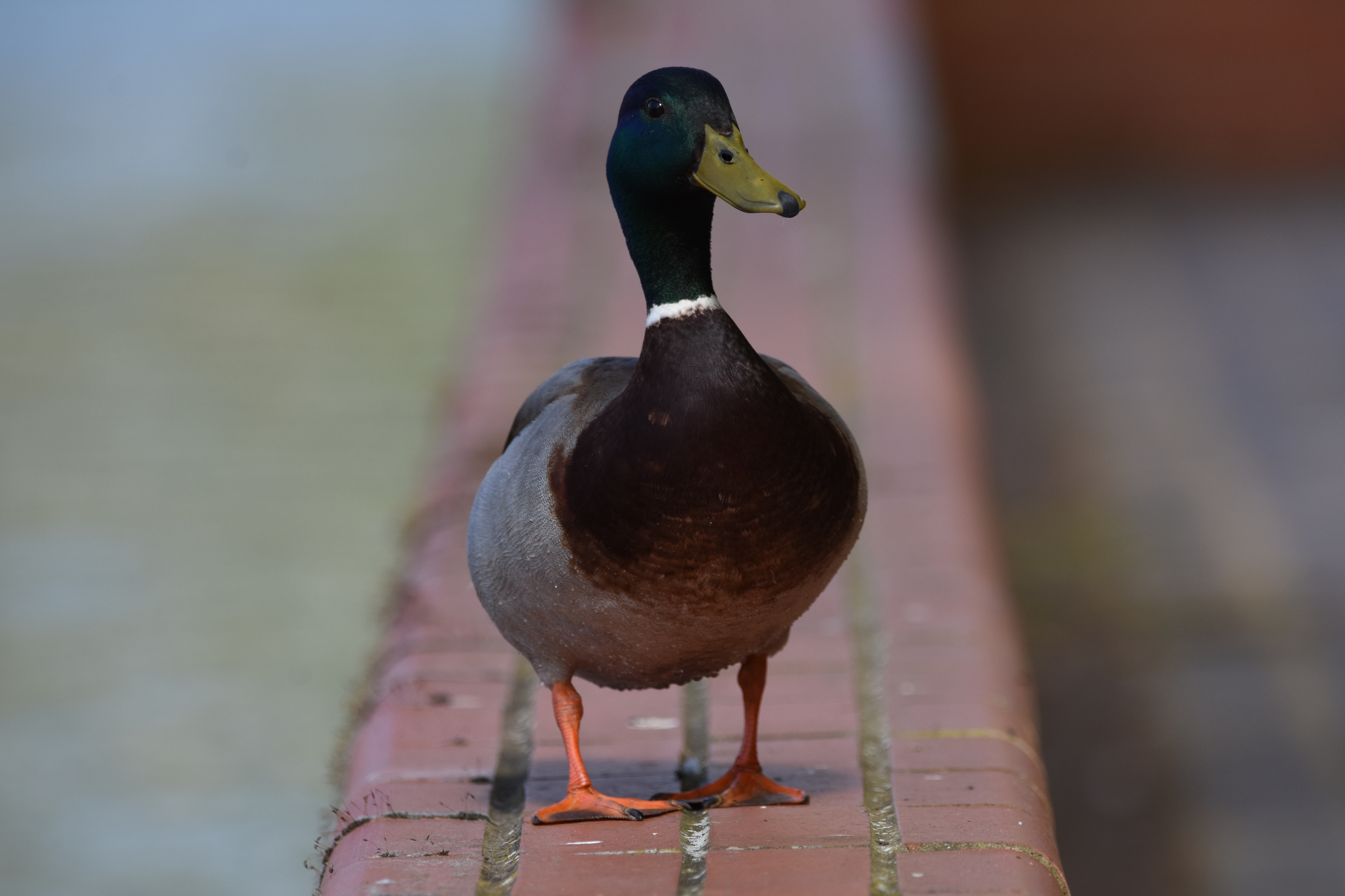 user avatar image for Knaggs2001