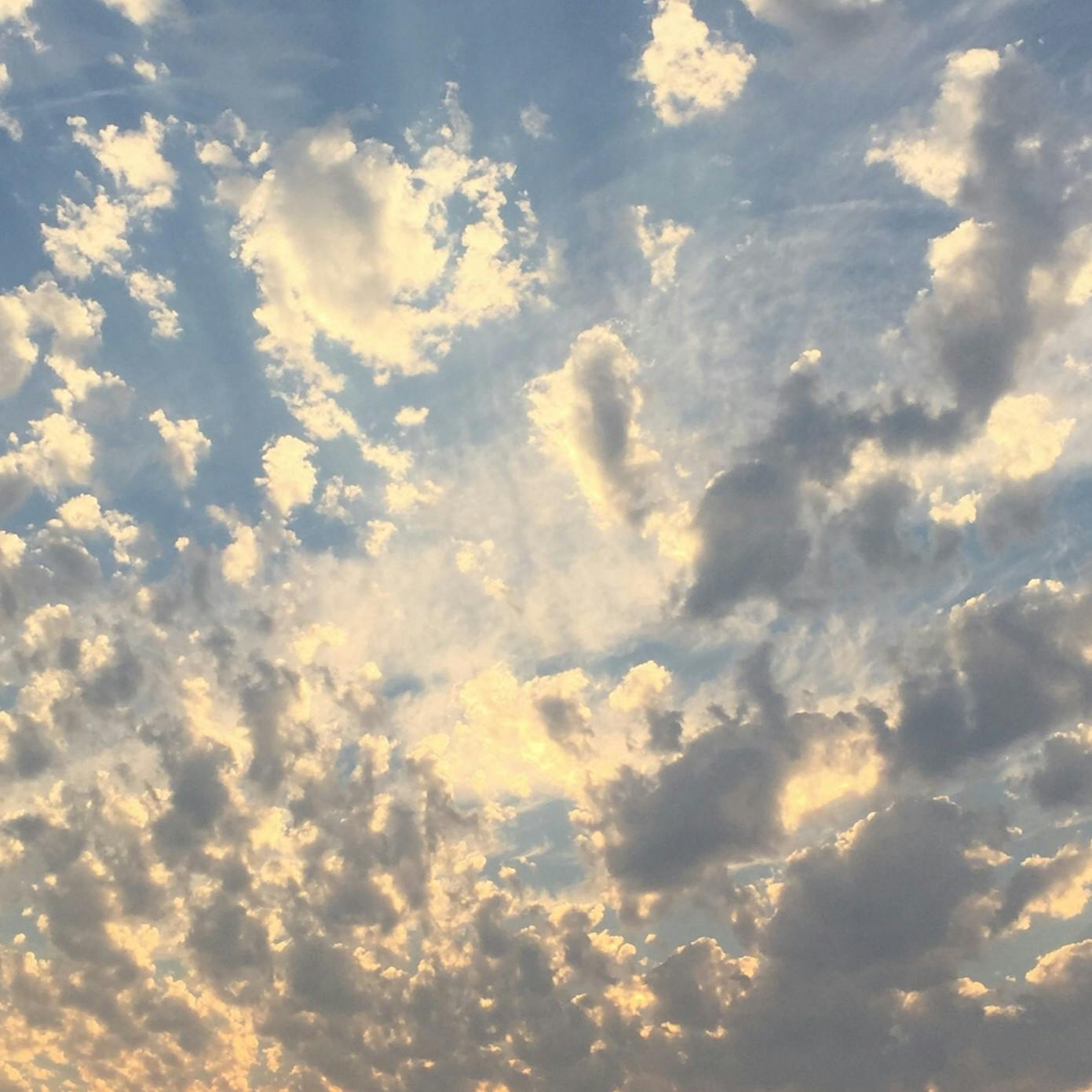 user avatar image for Natalie Bagby