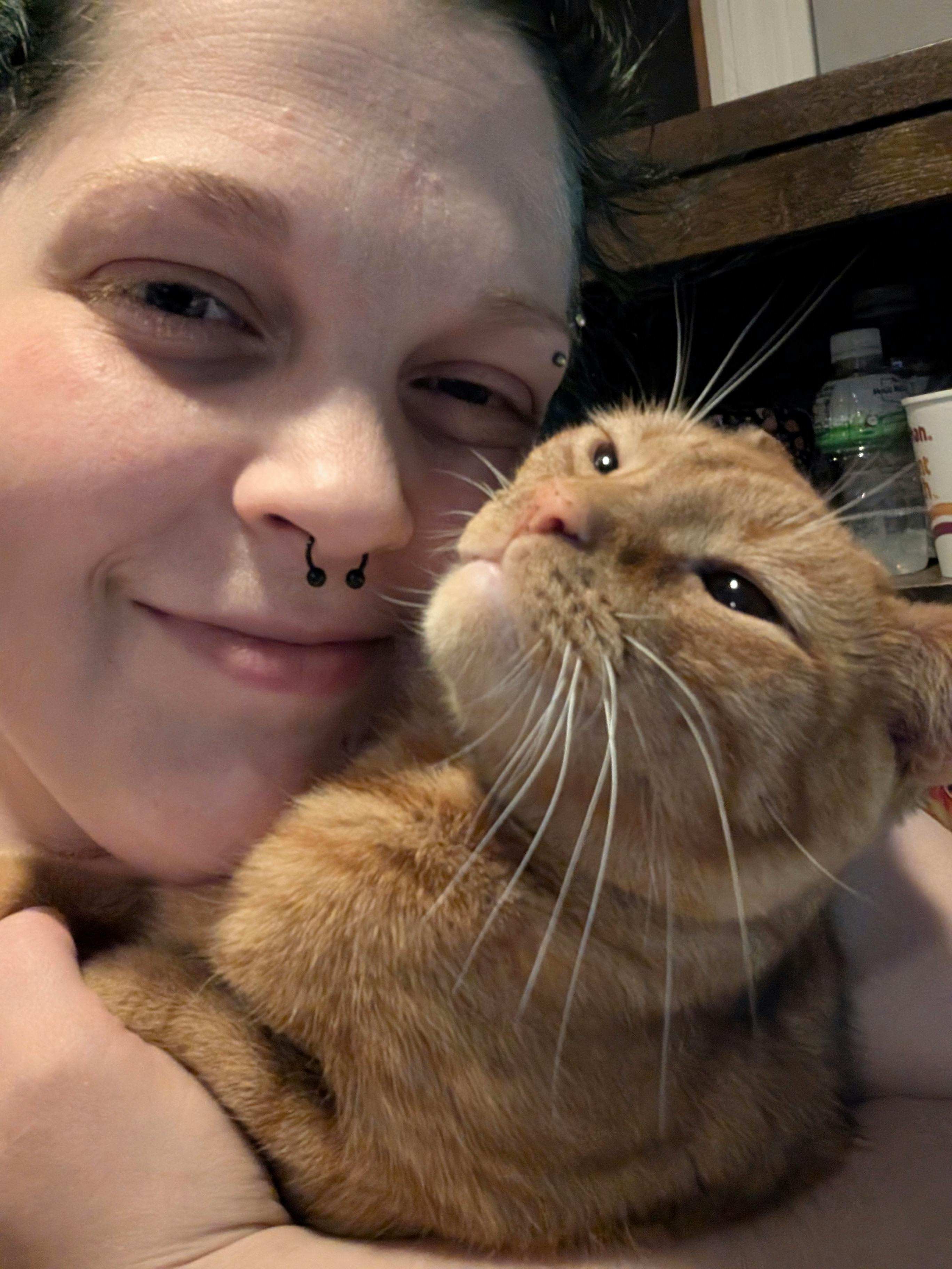 user avatar image for Dandi lion