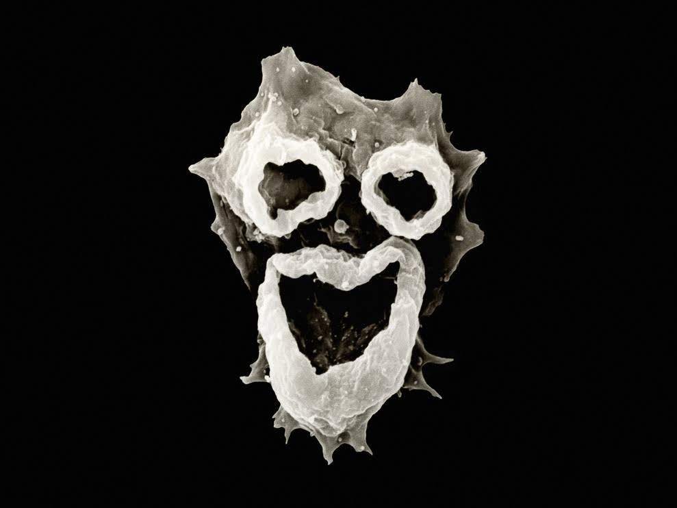 user avatar image for amorphousadam