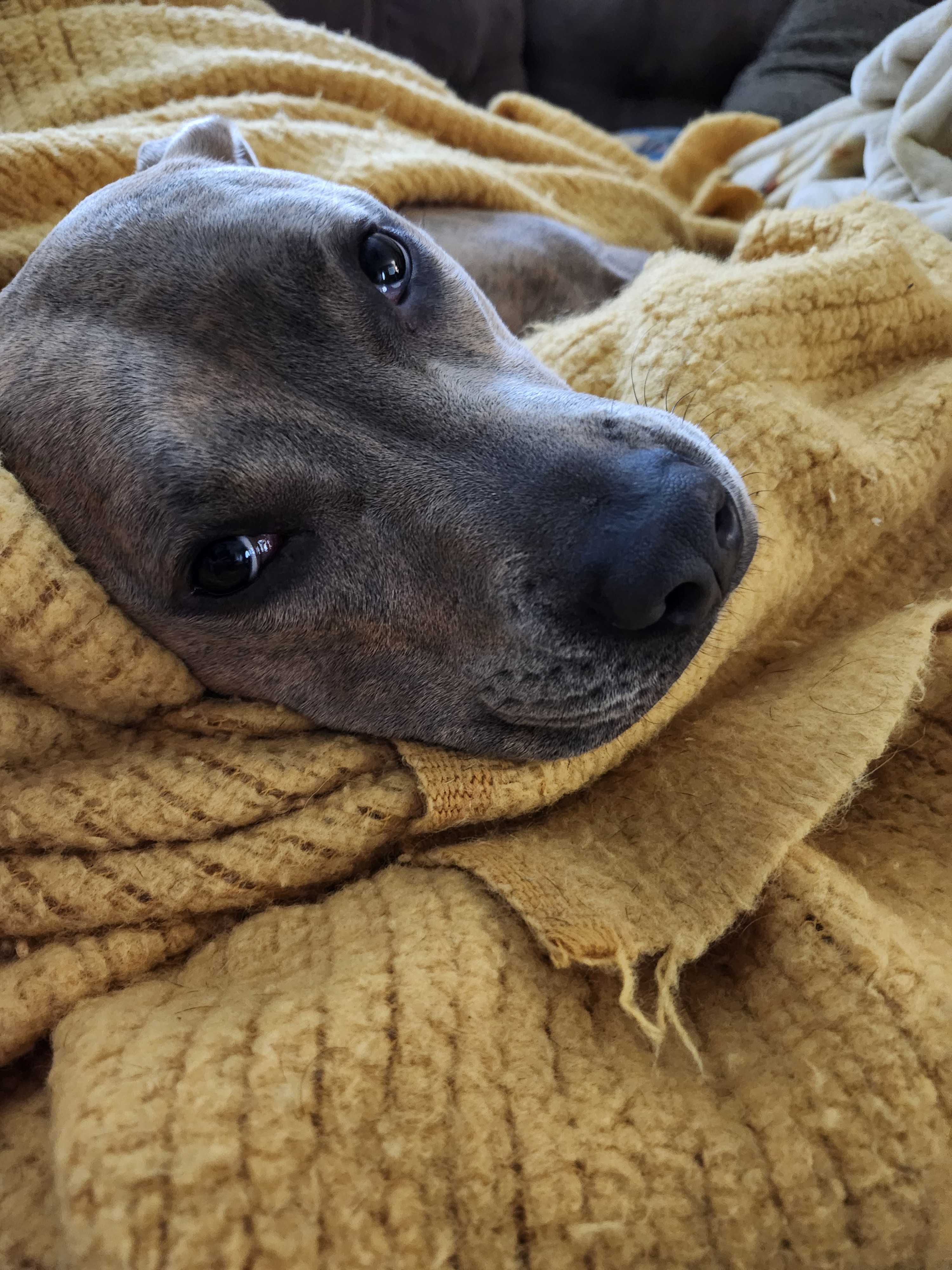 user avatar image for Katie Grizard