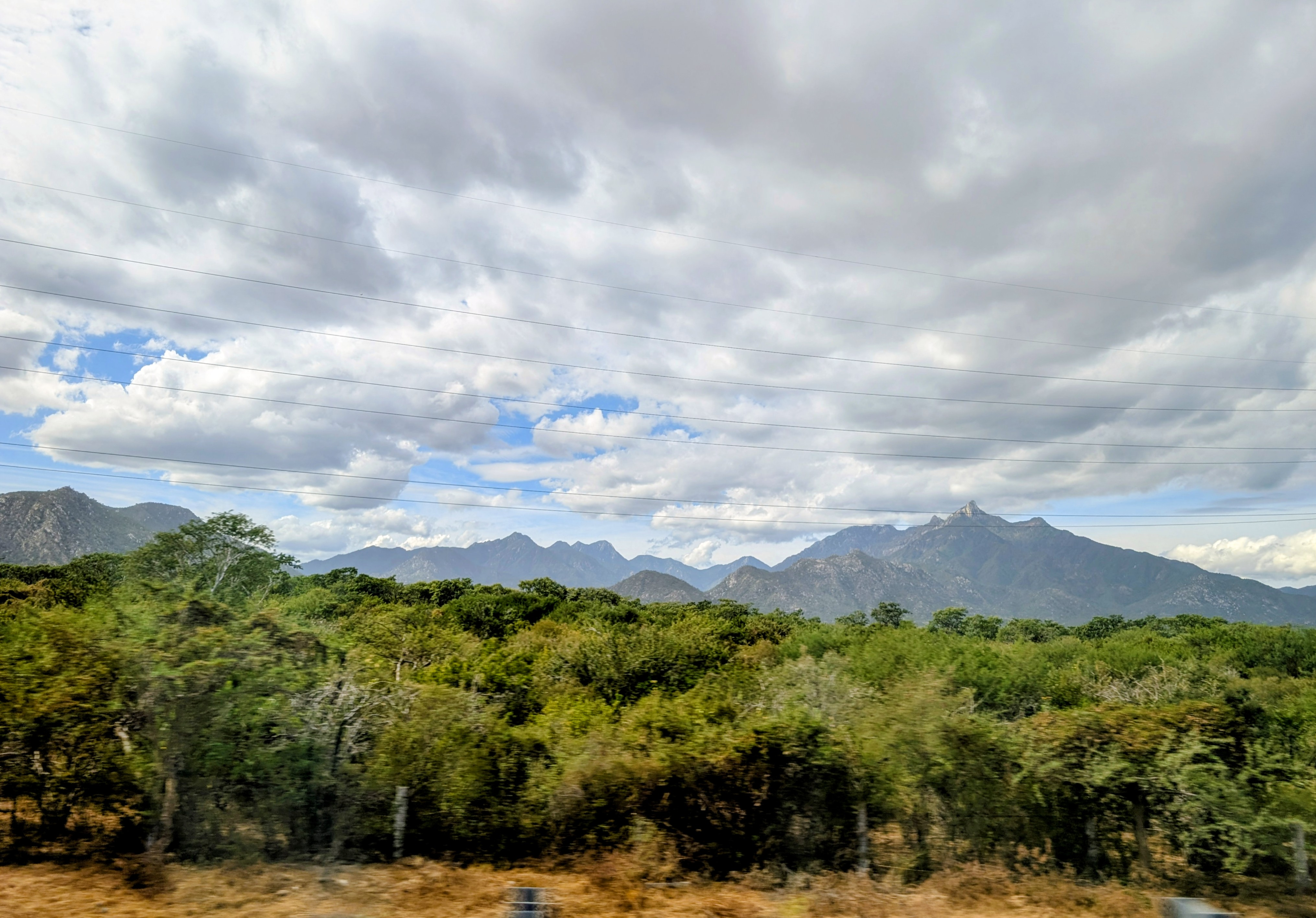 user avatar image for Kat Estes