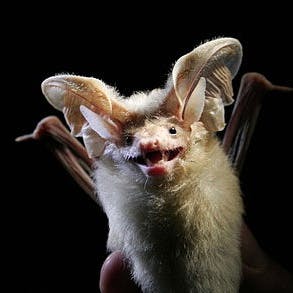 user avatar image for Heather