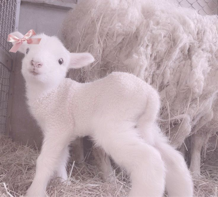 user avatar image for Zuri