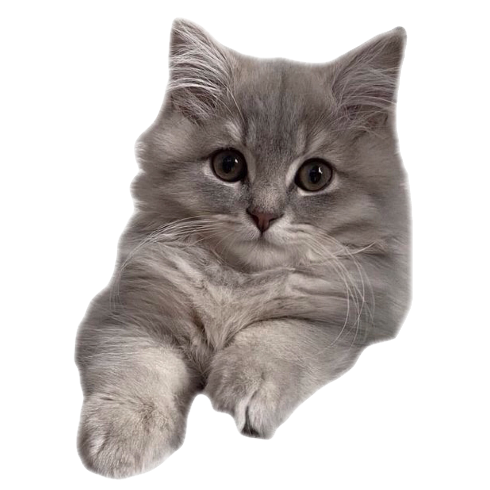 user avatar image for reclusive unicorn