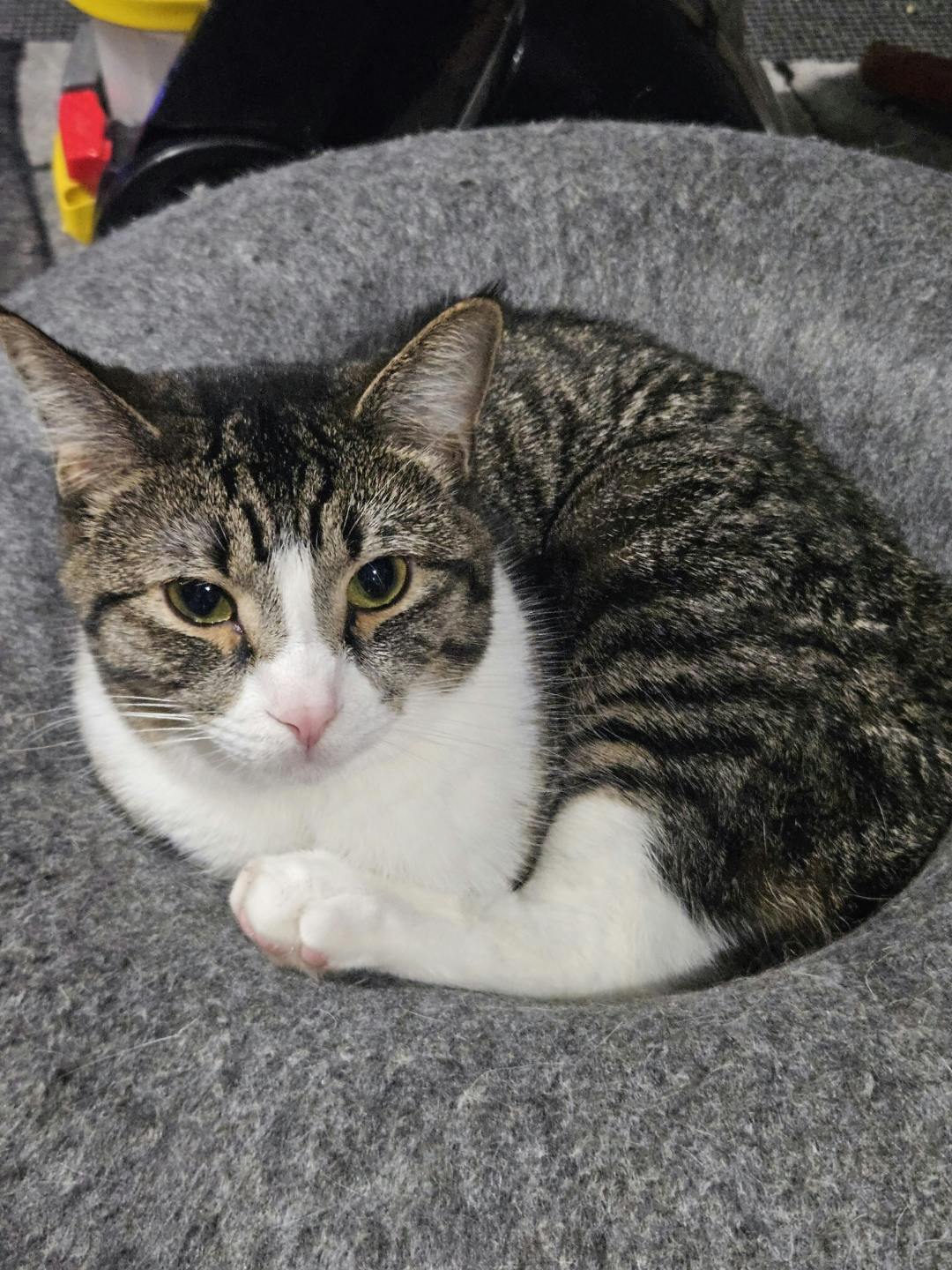 user avatar image for Gabrielle Duncan