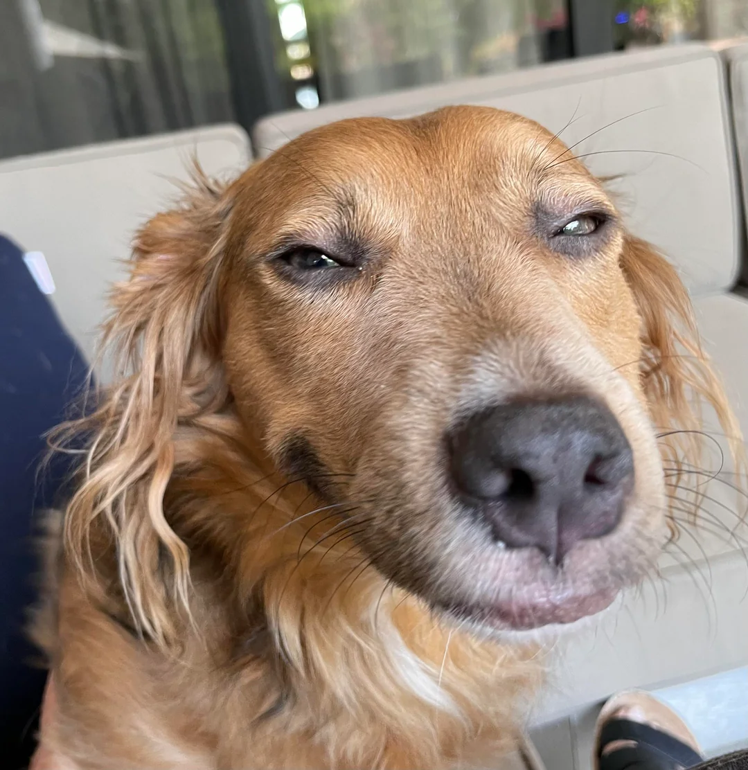 user avatar image for Dustin