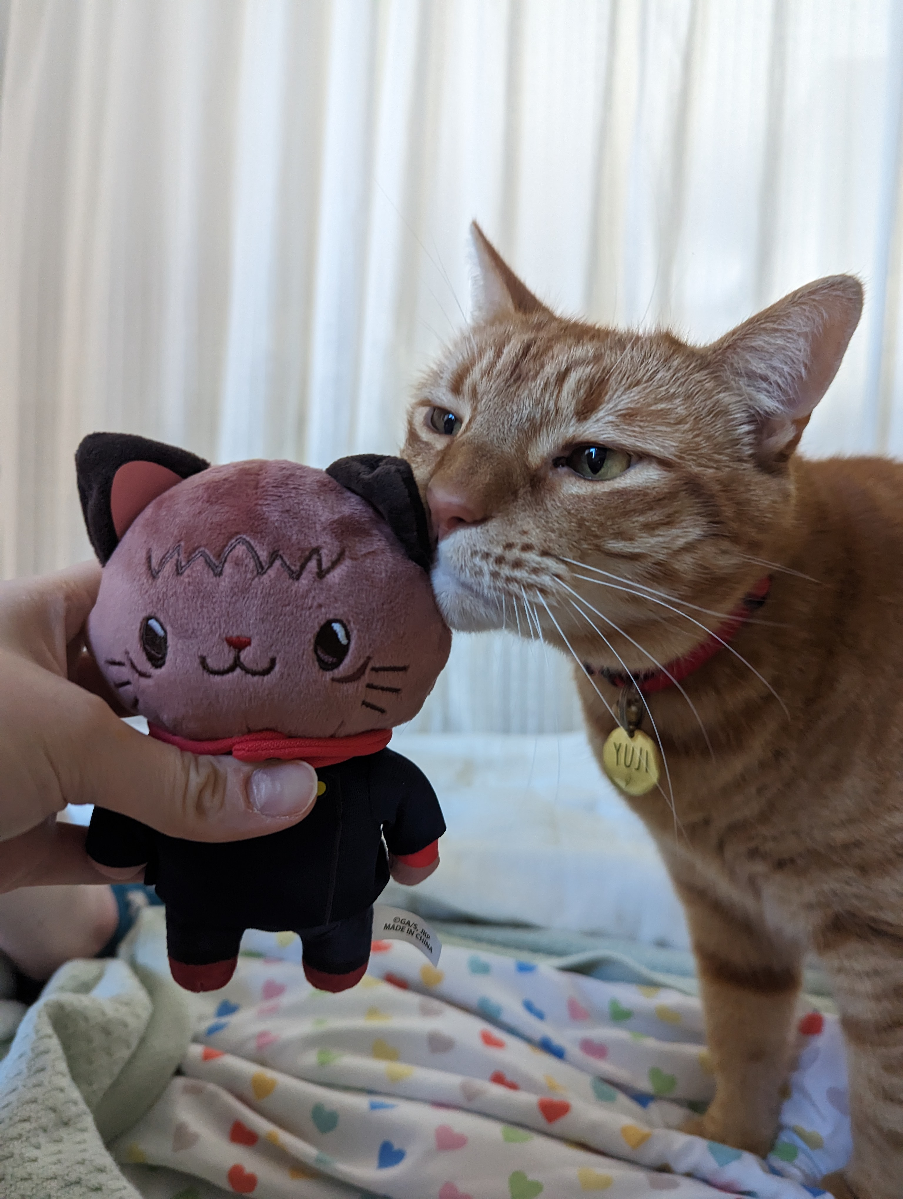 user avatar image for Julia Andretta