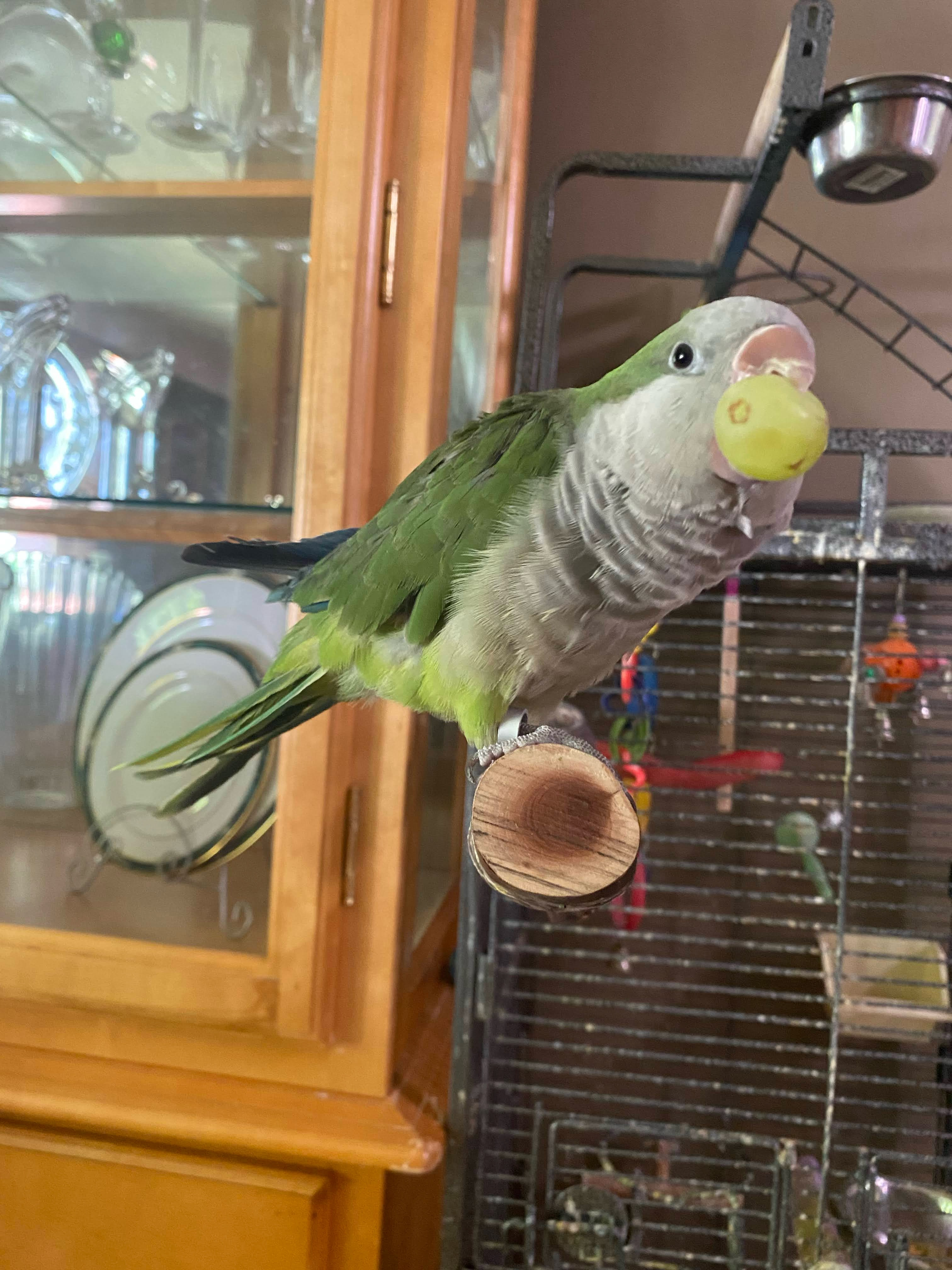 user avatar image for Mako