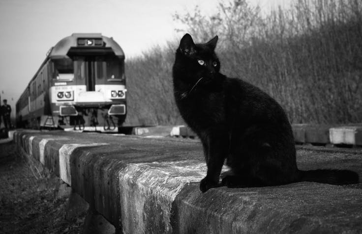 user avatar image for MarieFuchs