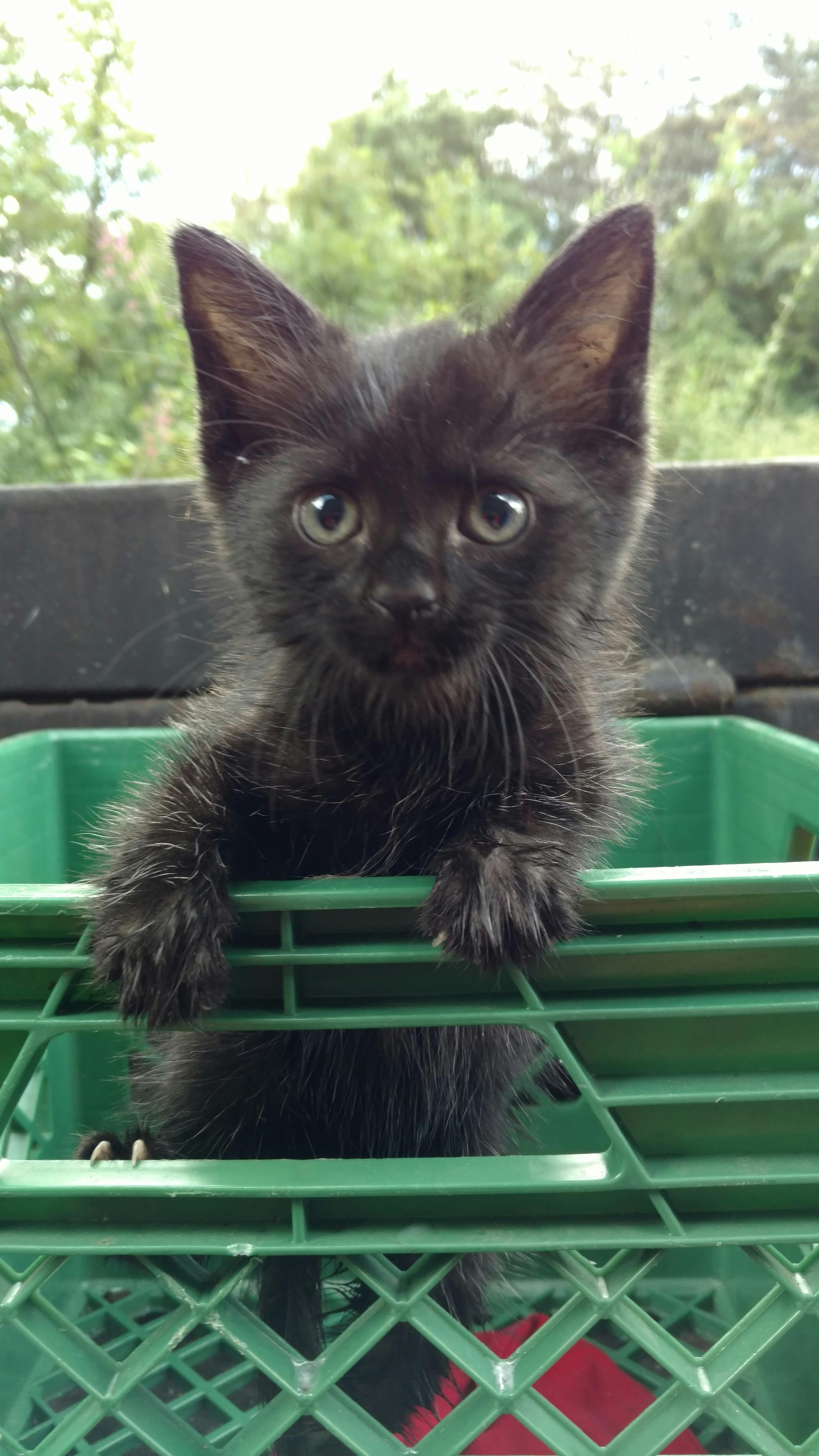 user avatar image for Lord Greenwell