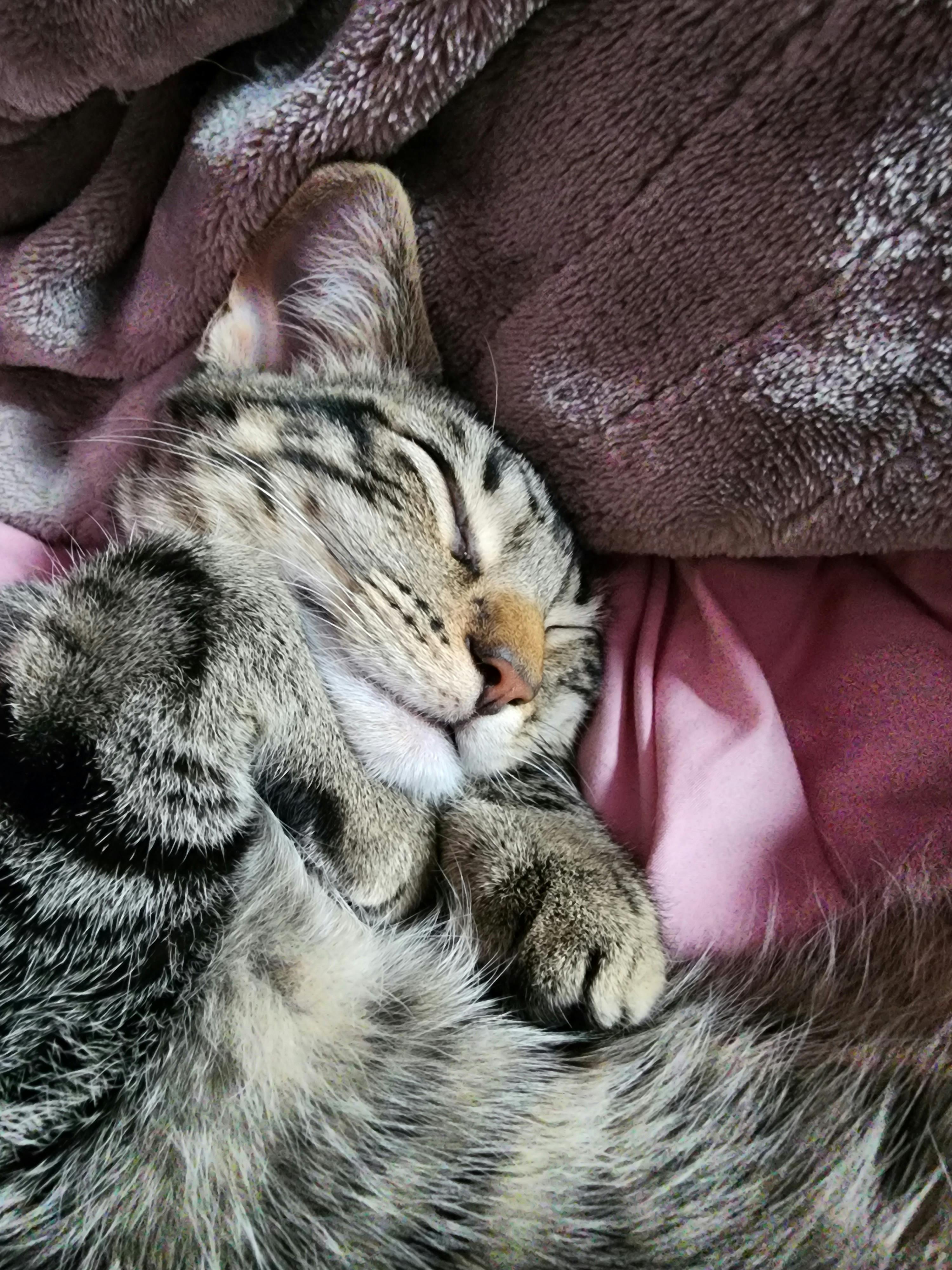 user avatar image for Lilly Rosalie