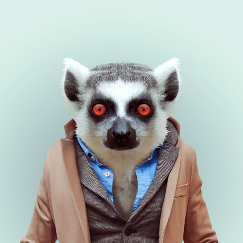 user avatar image for Pourpre