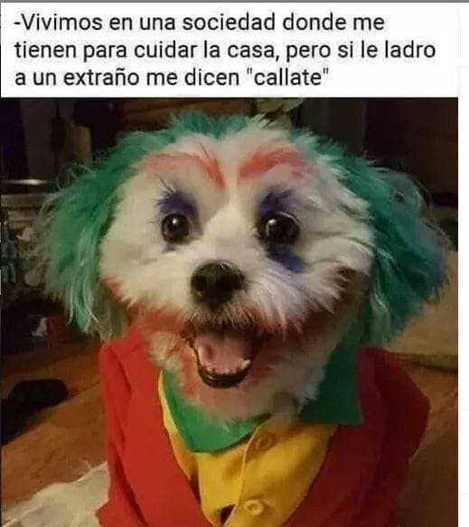 user avatar image for Jonathan0995