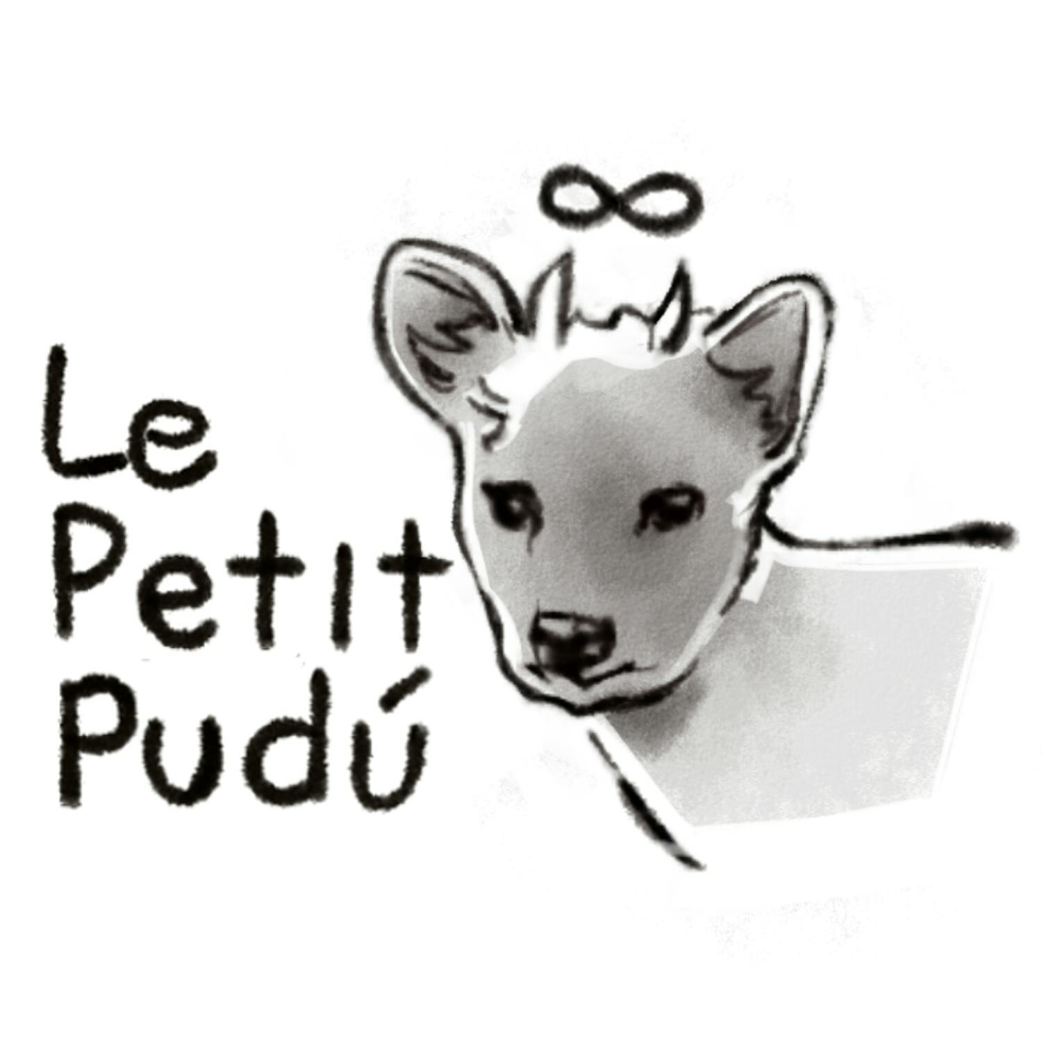 user avatar image for Le Petit Pudu