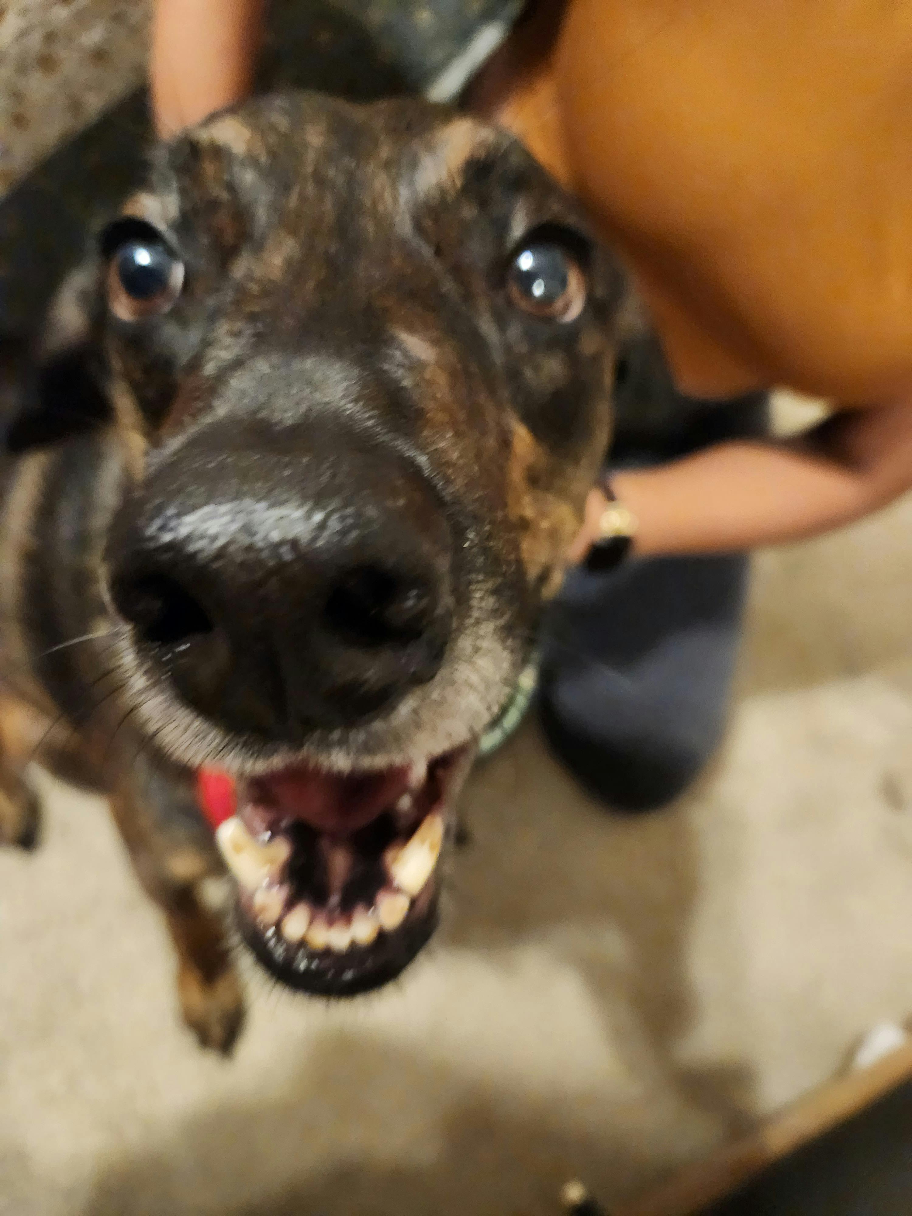 user avatar image for Big Sarge