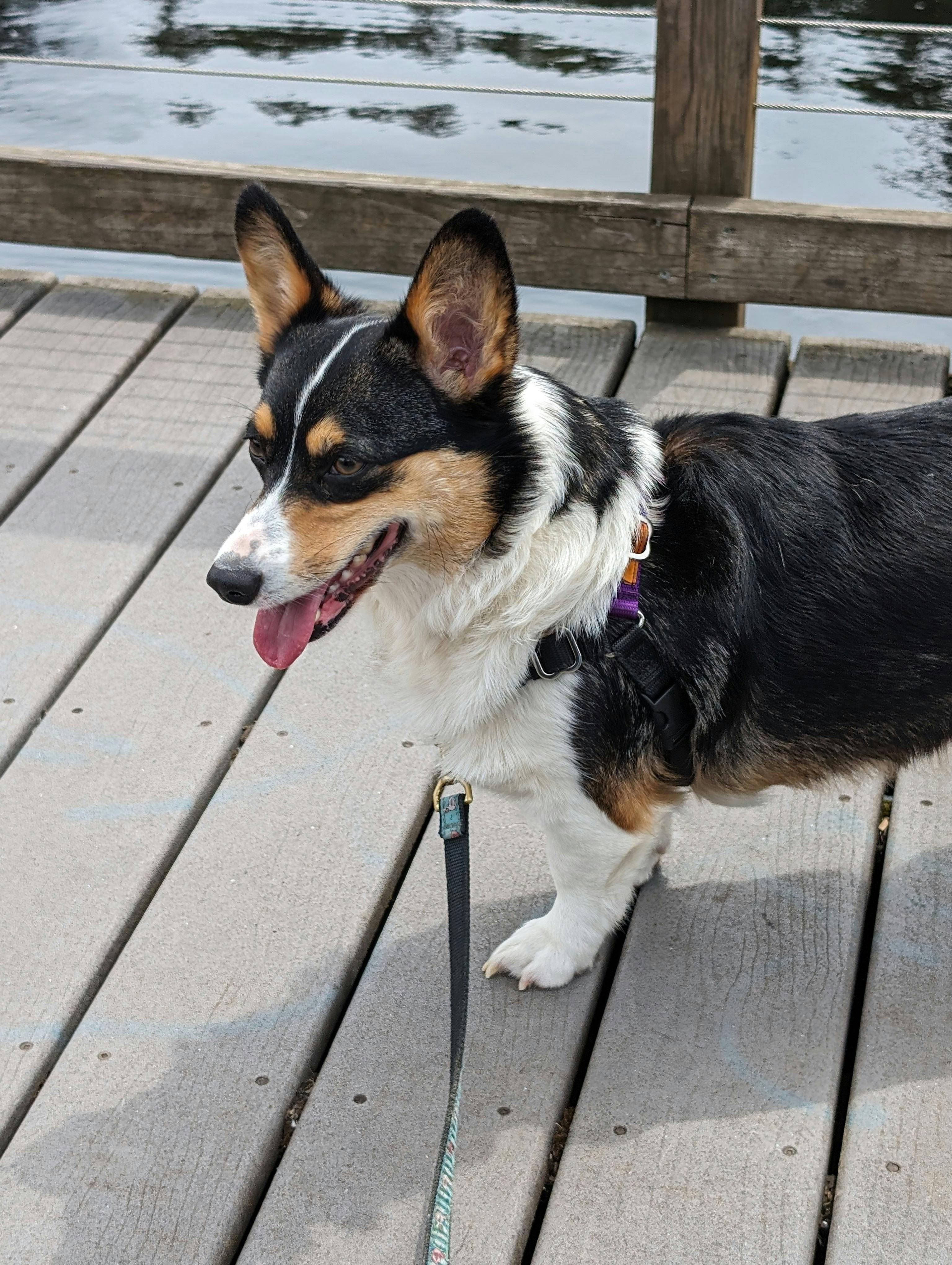 user avatar image for Joe Heloskie