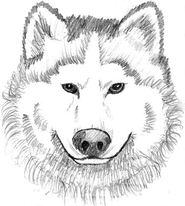 user avatar image for Tandoku
