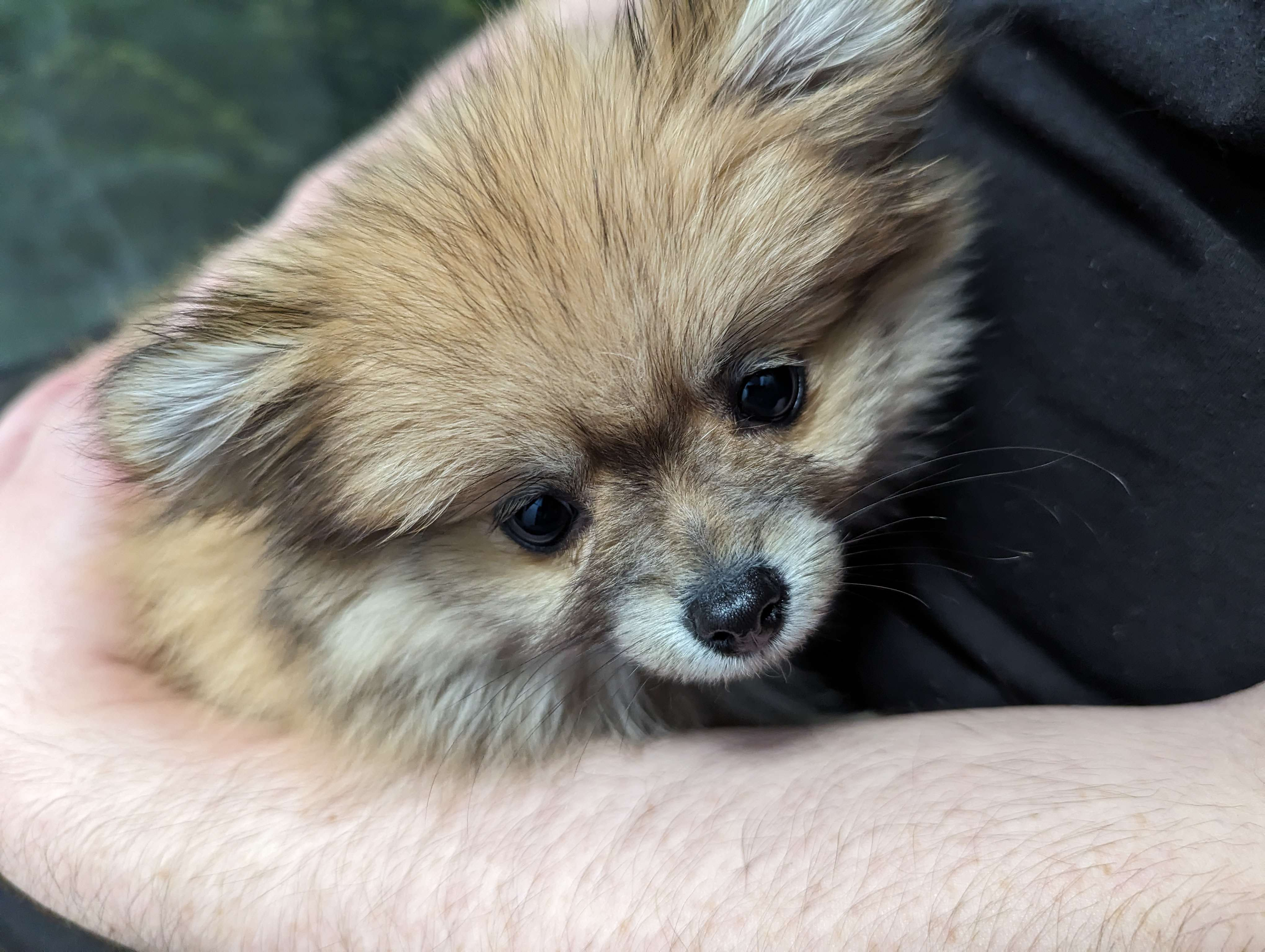 user avatar image for raitto