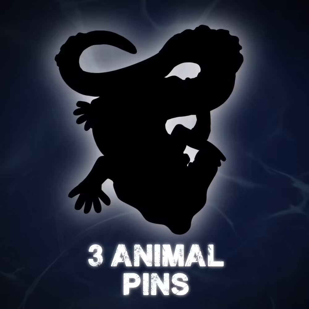 First discovery: 3 Animals