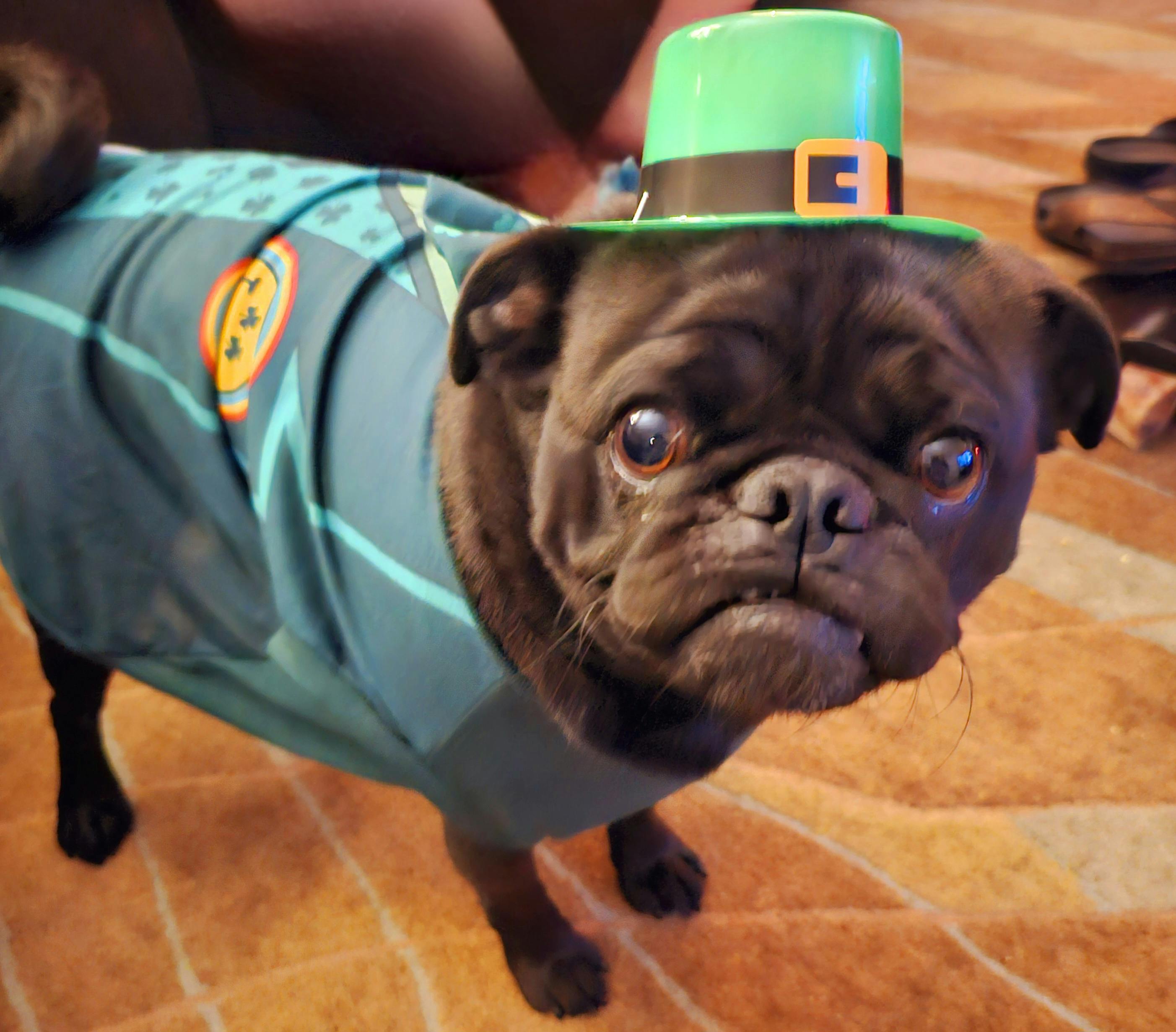 user avatar image for Brian