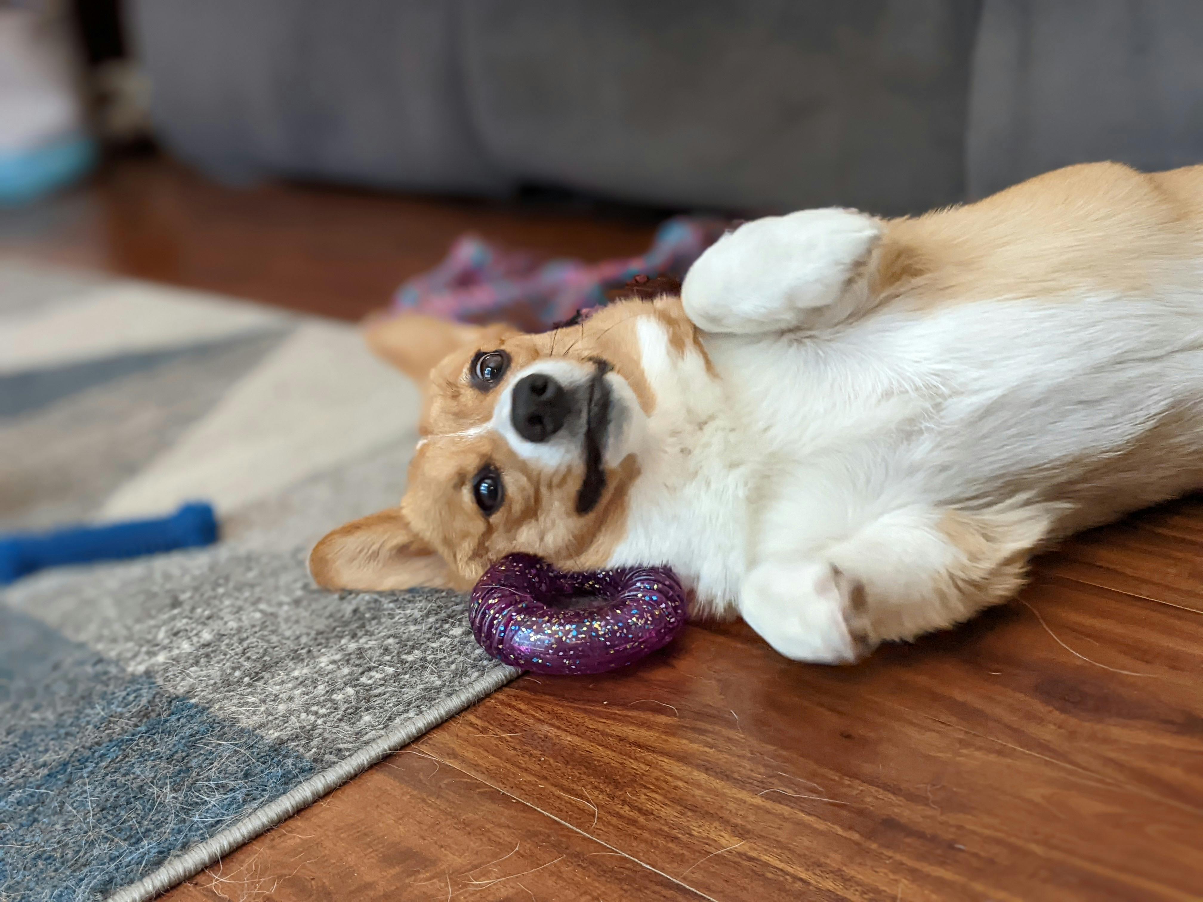 user avatar image for Channing