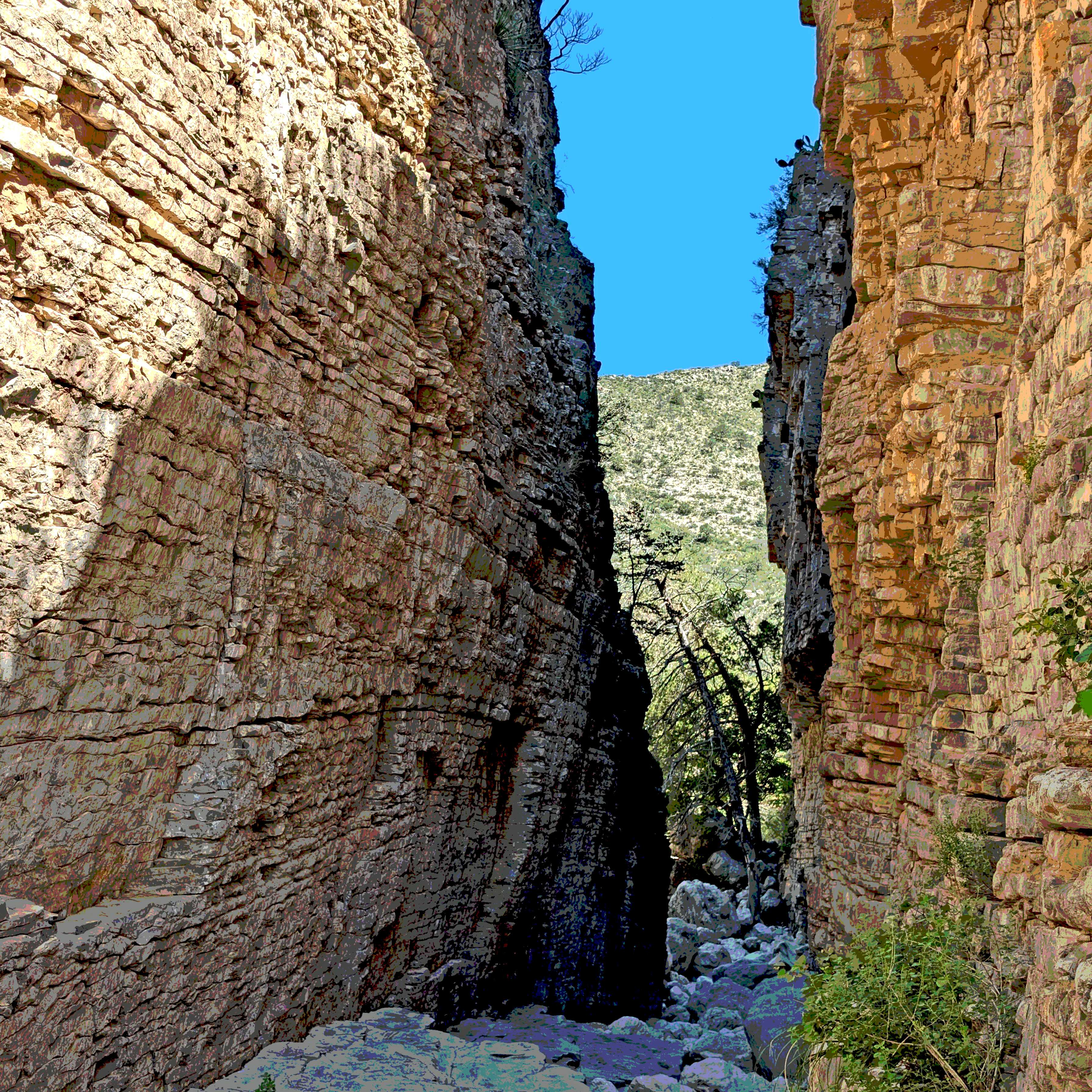 user avatar image for Richard B