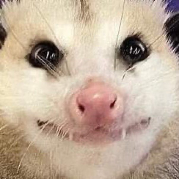 user avatar image for Capiali 