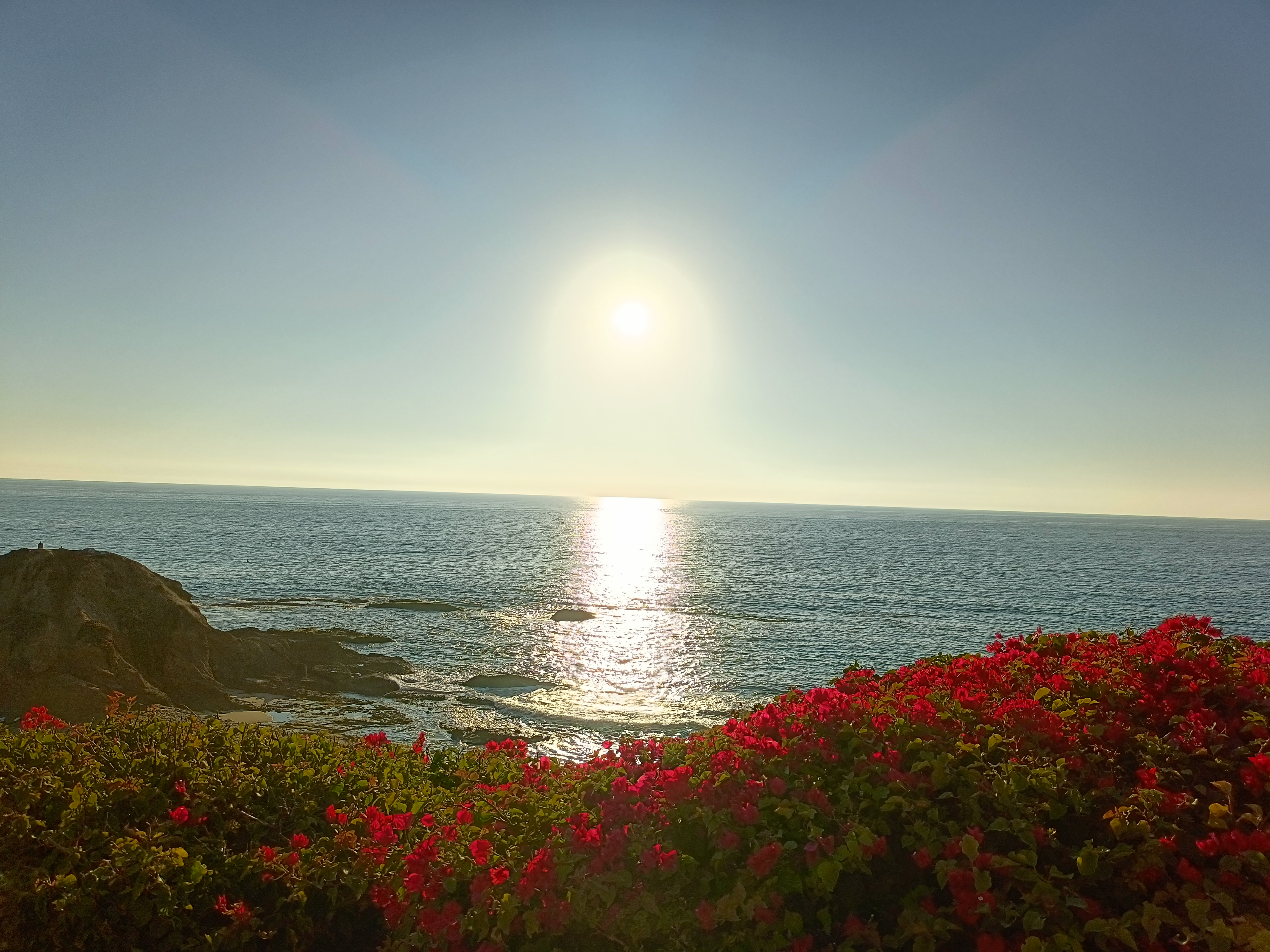 user avatar image for Casey