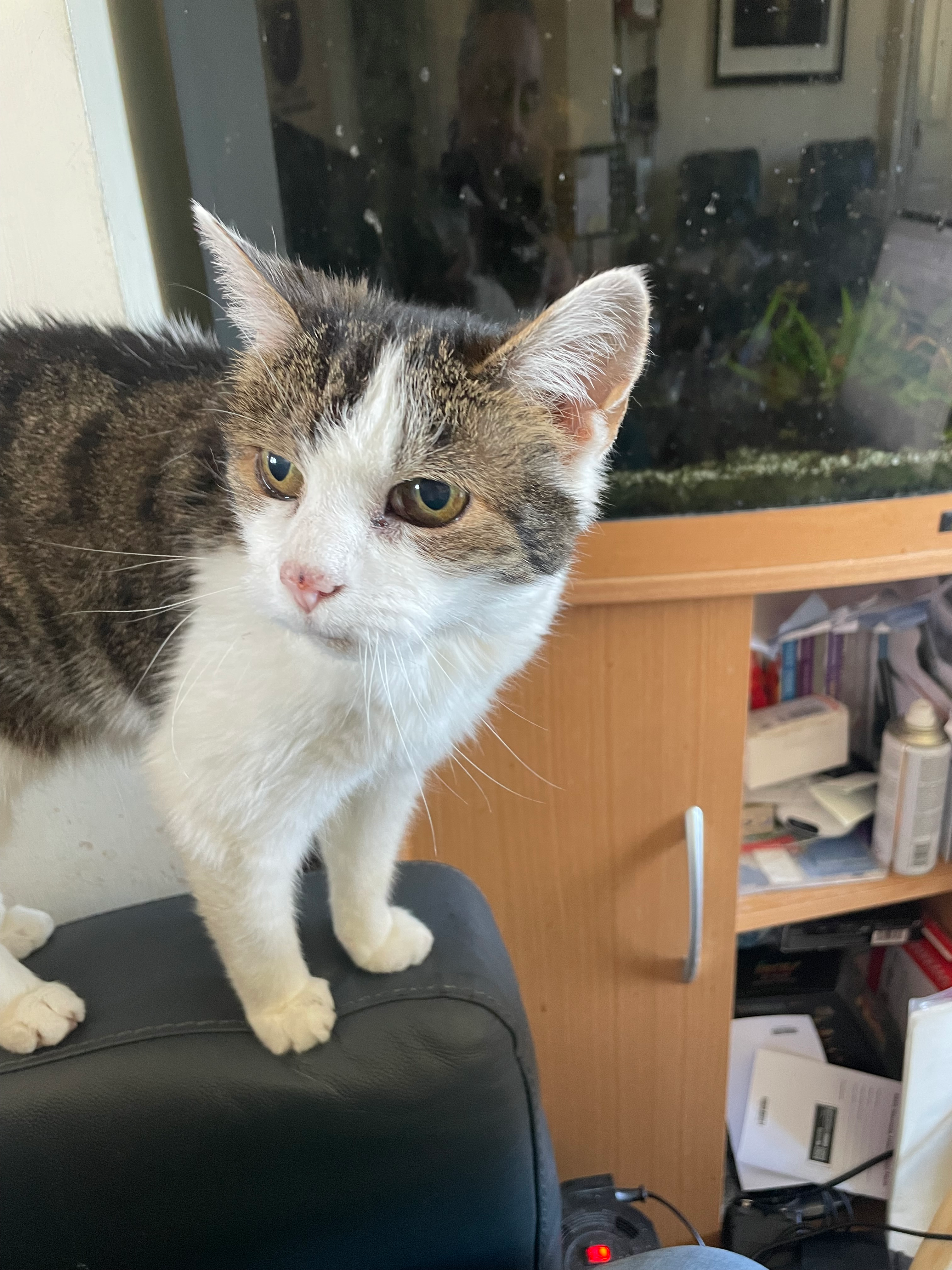 user avatar image for Sheldon Barwick