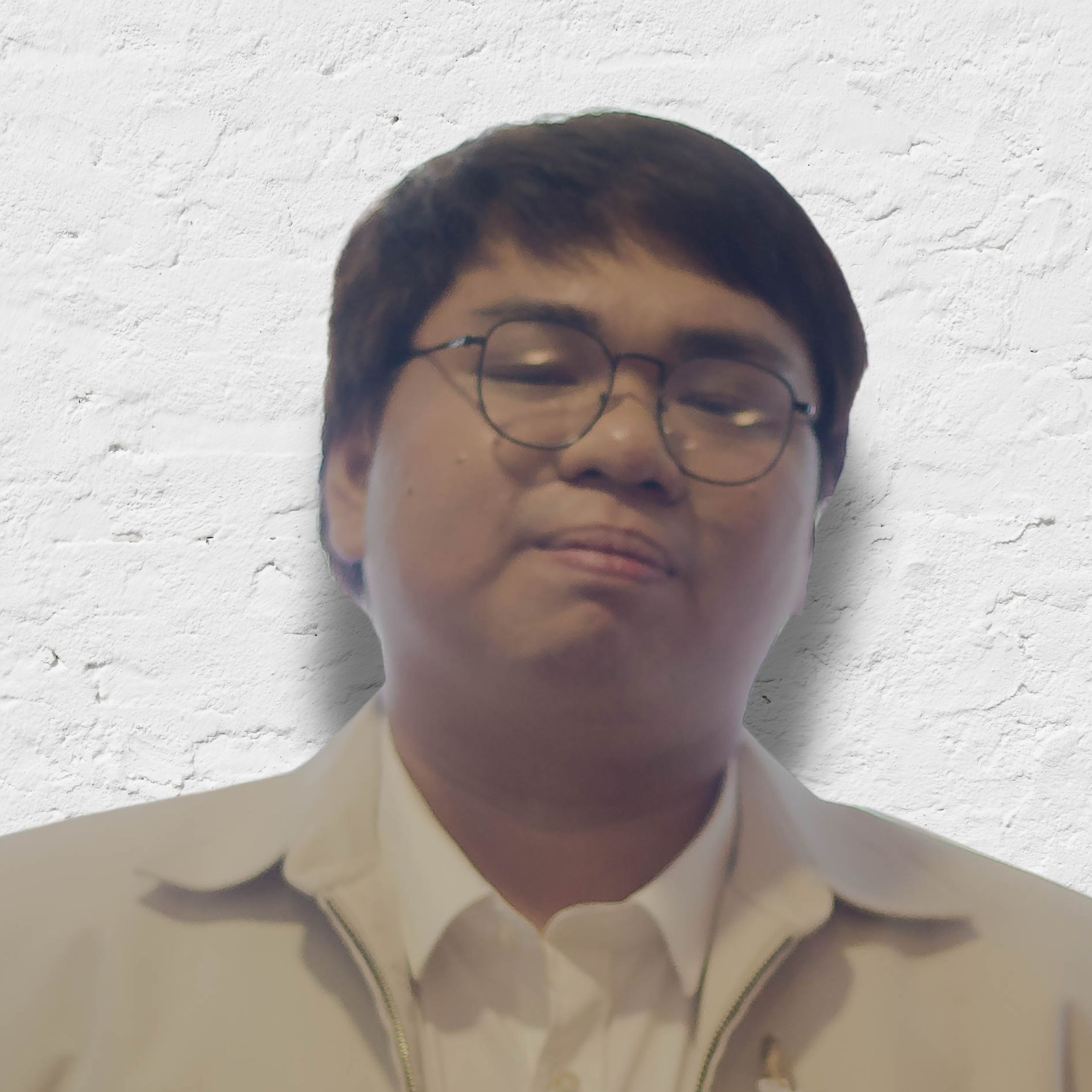 user avatar image for Shan Reinard Gonzal