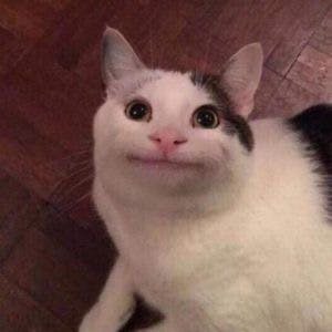 user avatar image for Abi