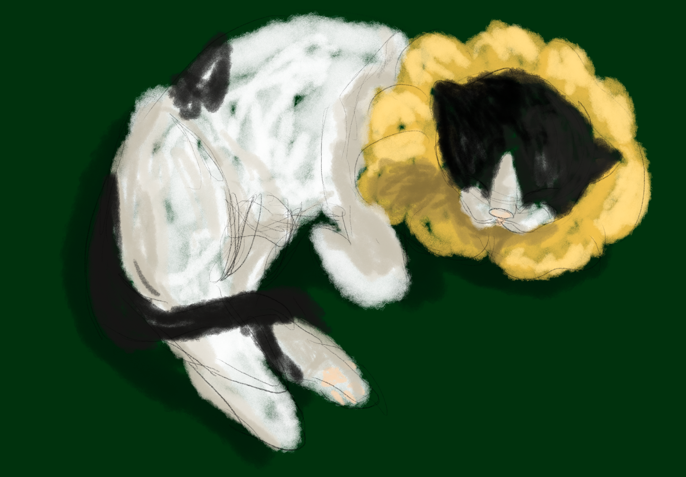 user avatar image for Gray:]