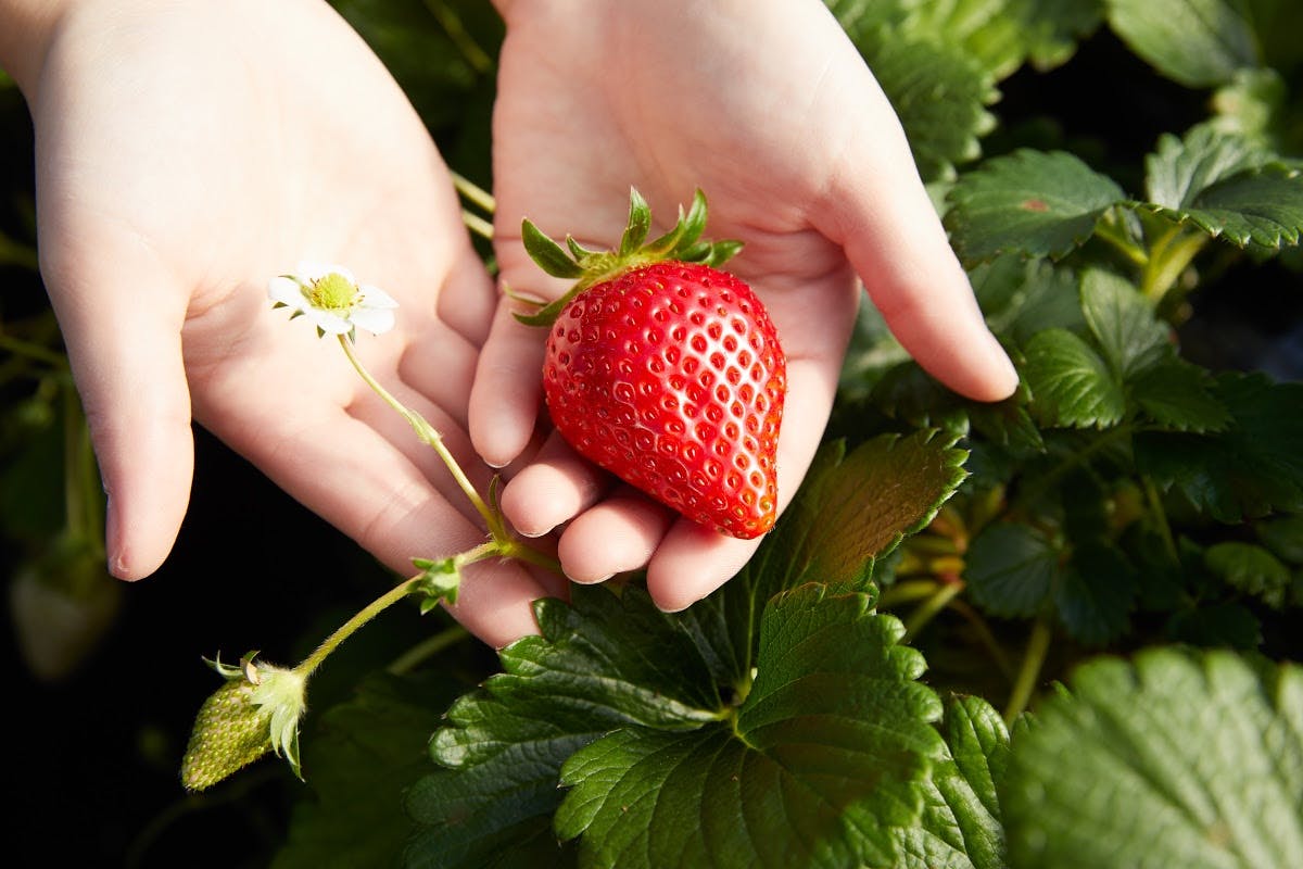 user avatar image for Taylor H