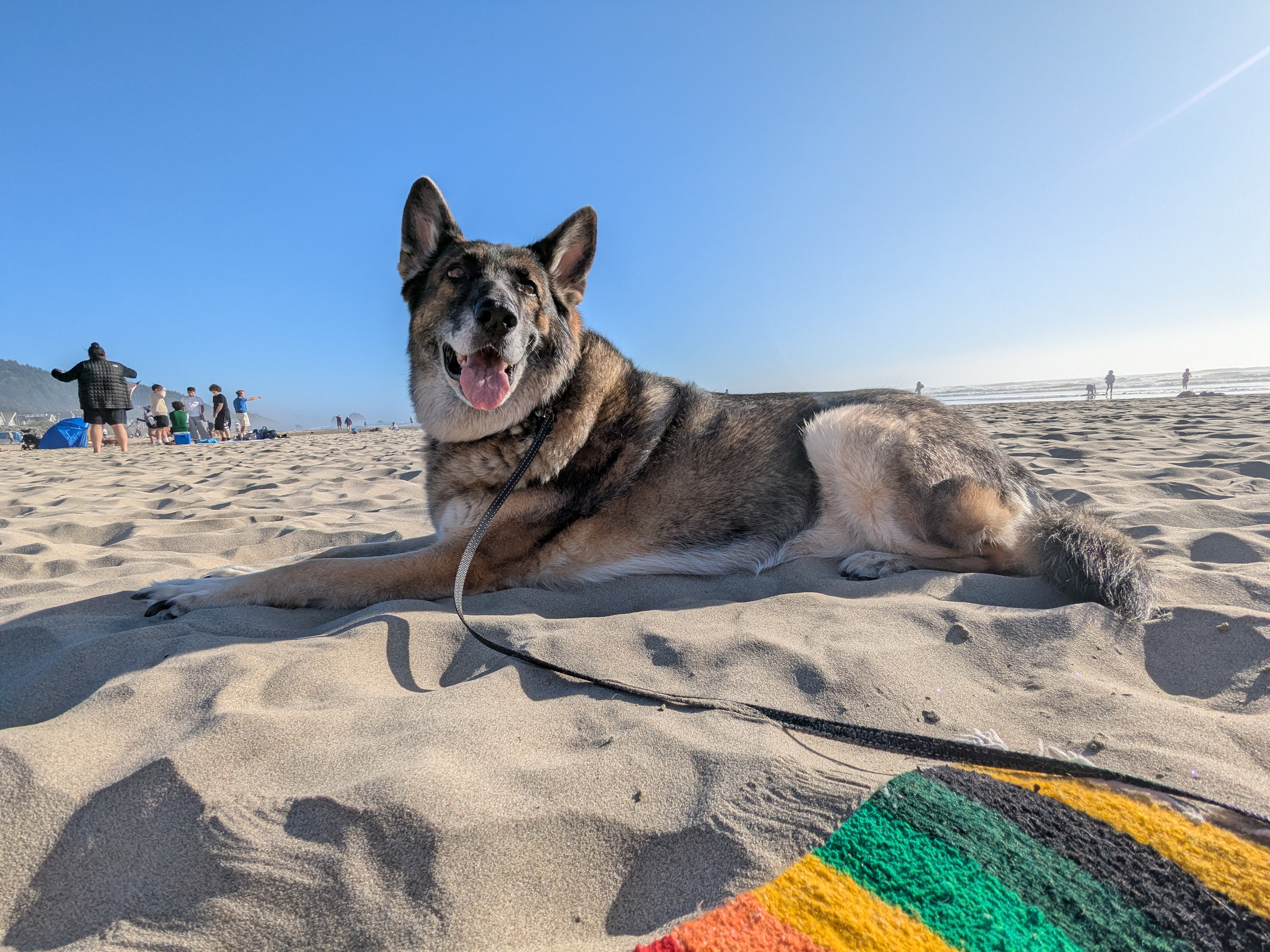 user avatar image for Mel B