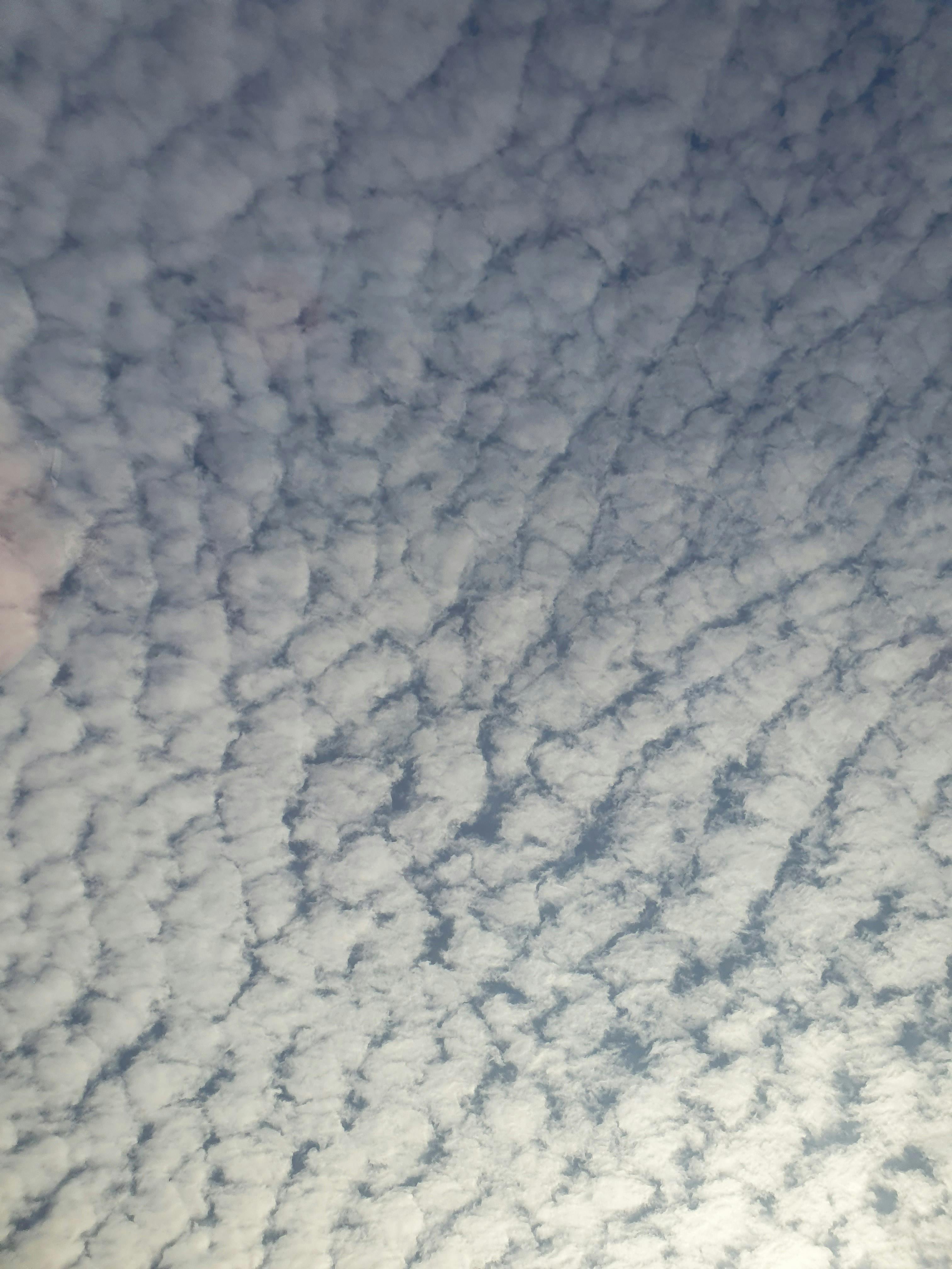 user avatar image for Maren Sophia