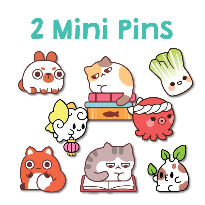 2 Mini Pins