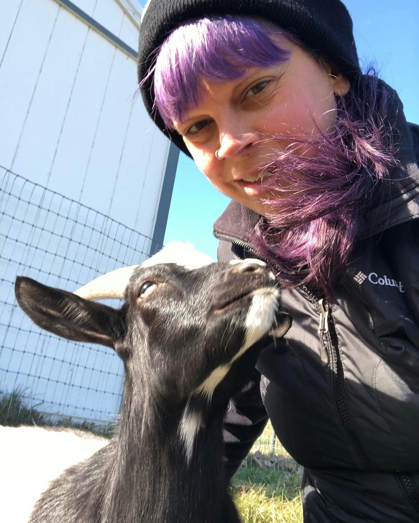 user avatar image for Sandi Swiss